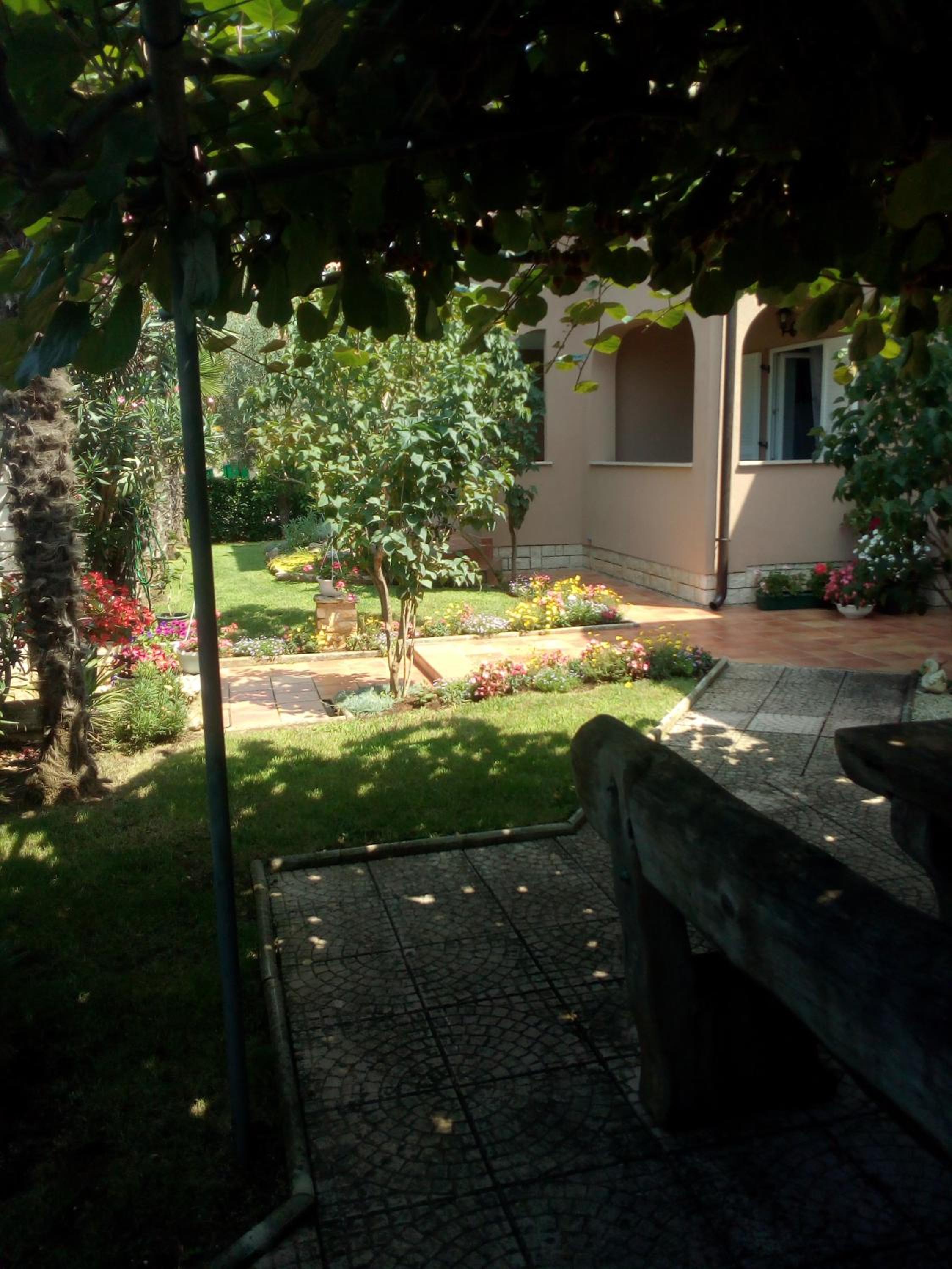 Photo 17