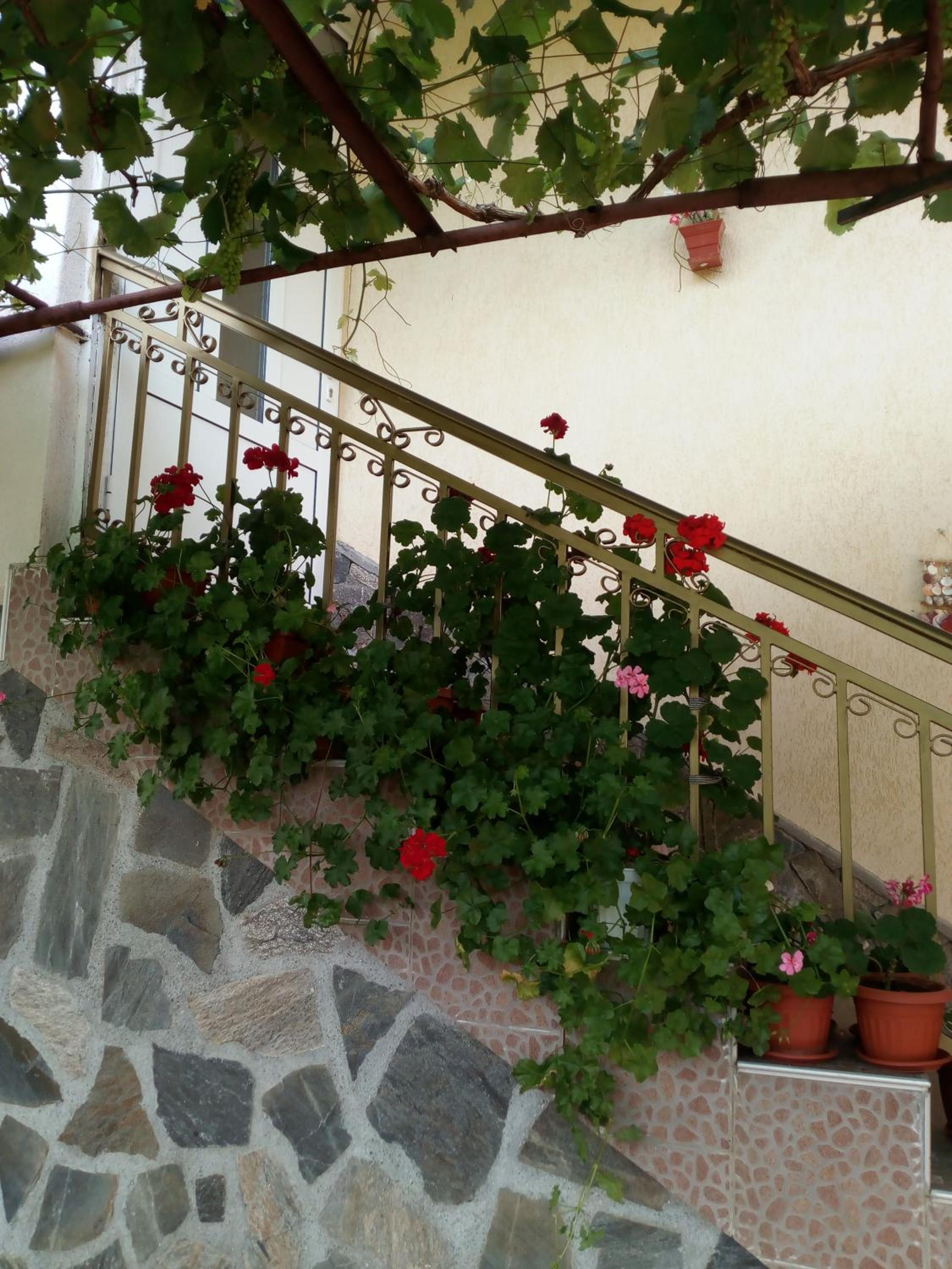 Viktoria House