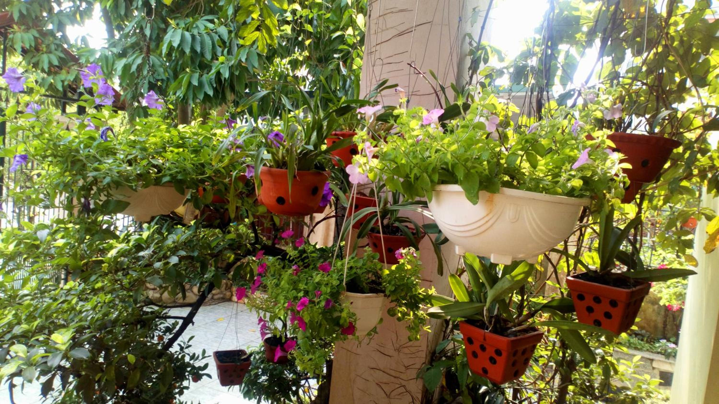 Hạ Long Lily Homestay view 2