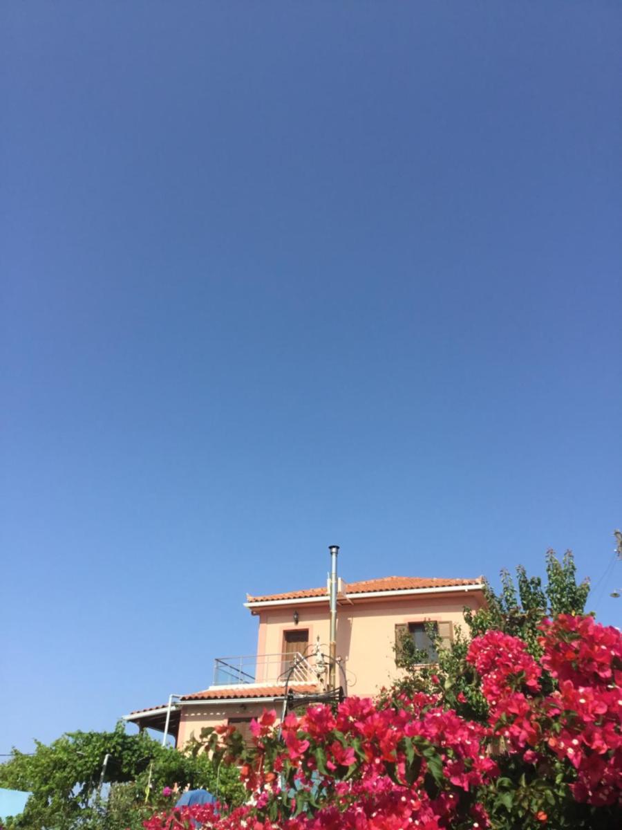 Luxury Villa 3min from the famous Shipwreck photo 4