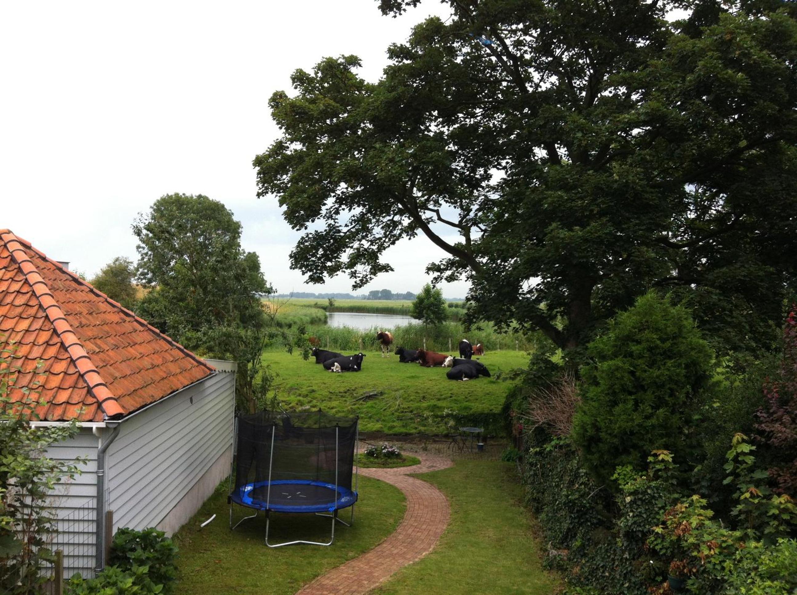 FortEdam view 3