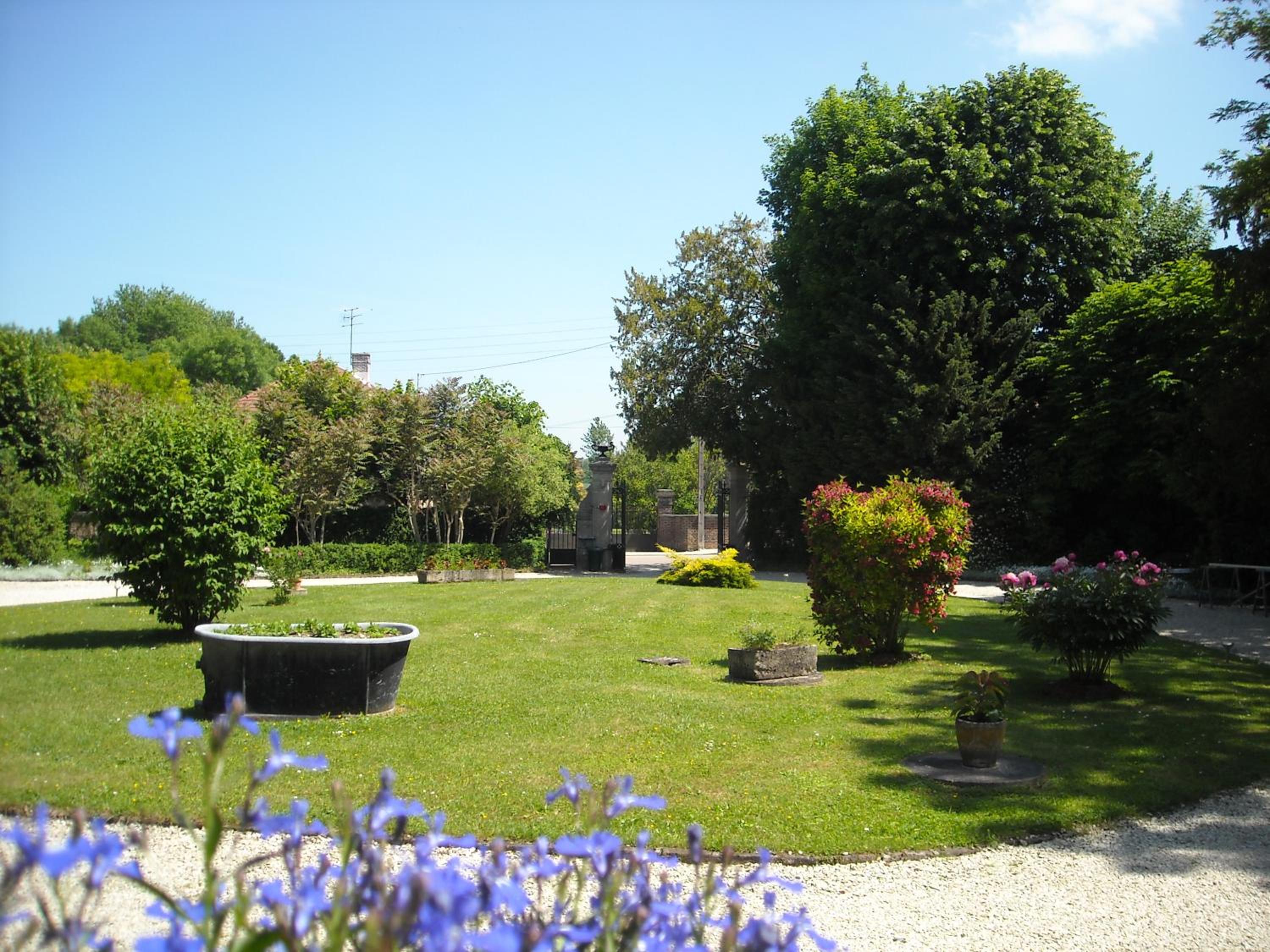 Photo 6