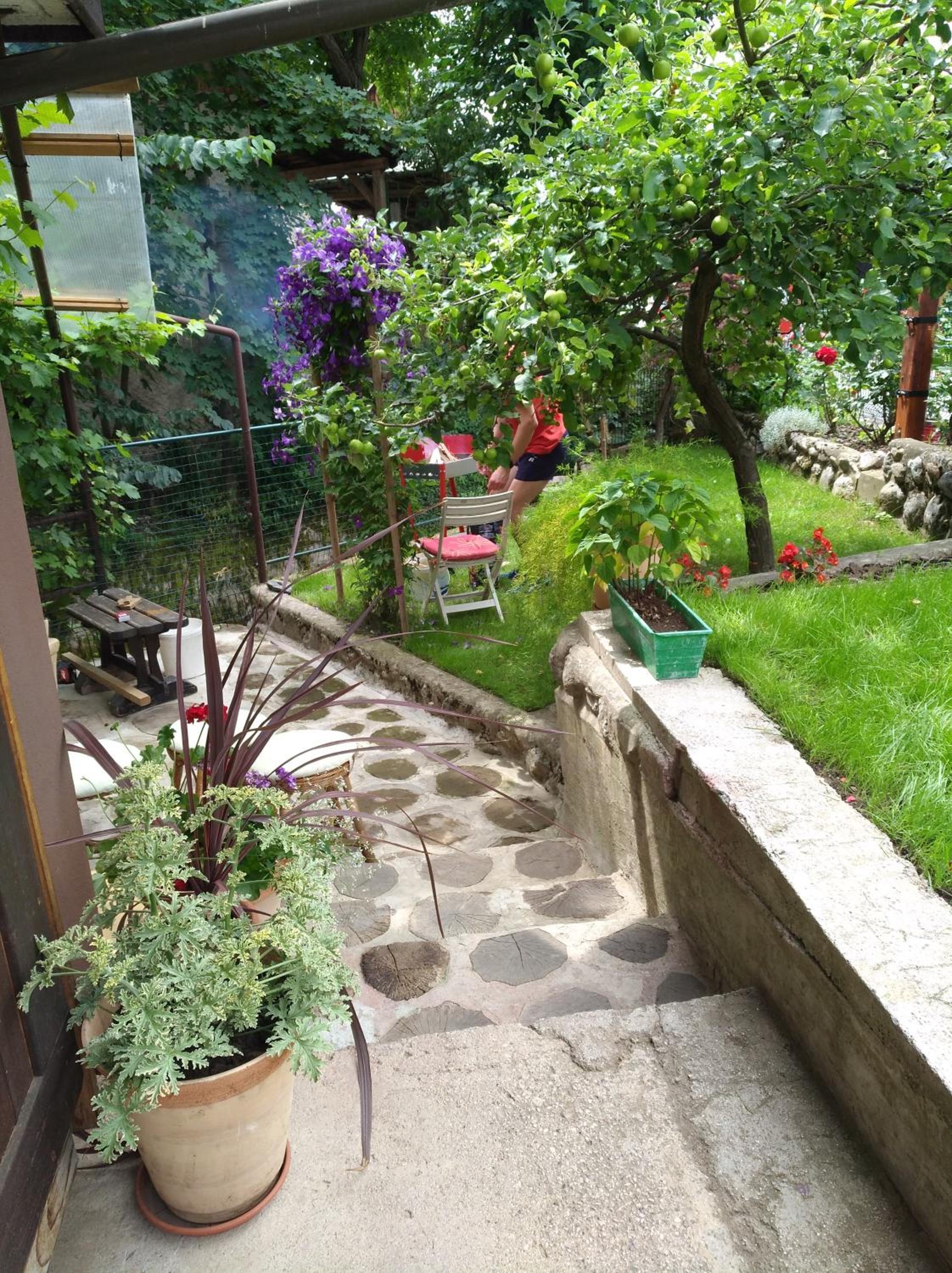 Photo 36
