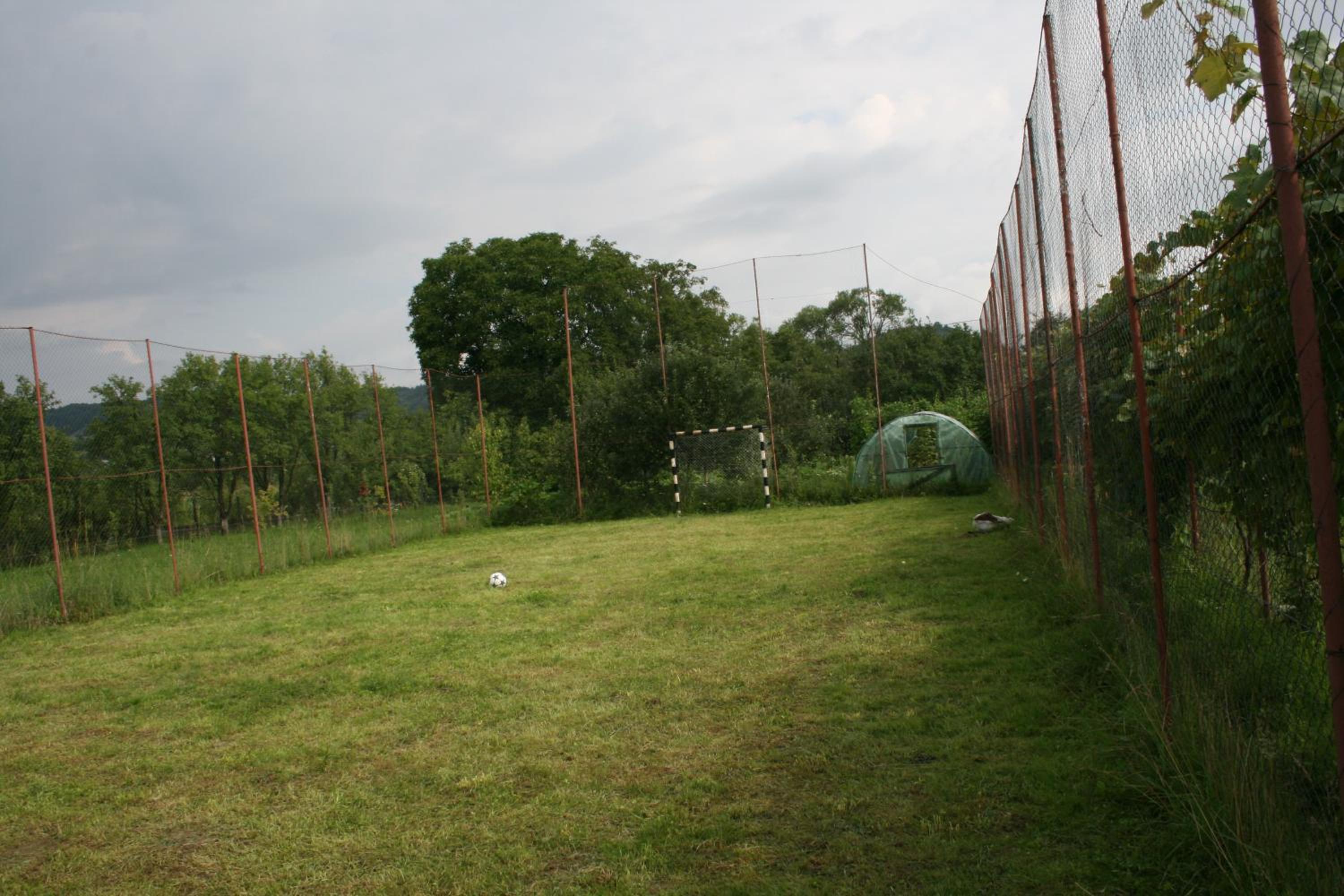 Photo 42