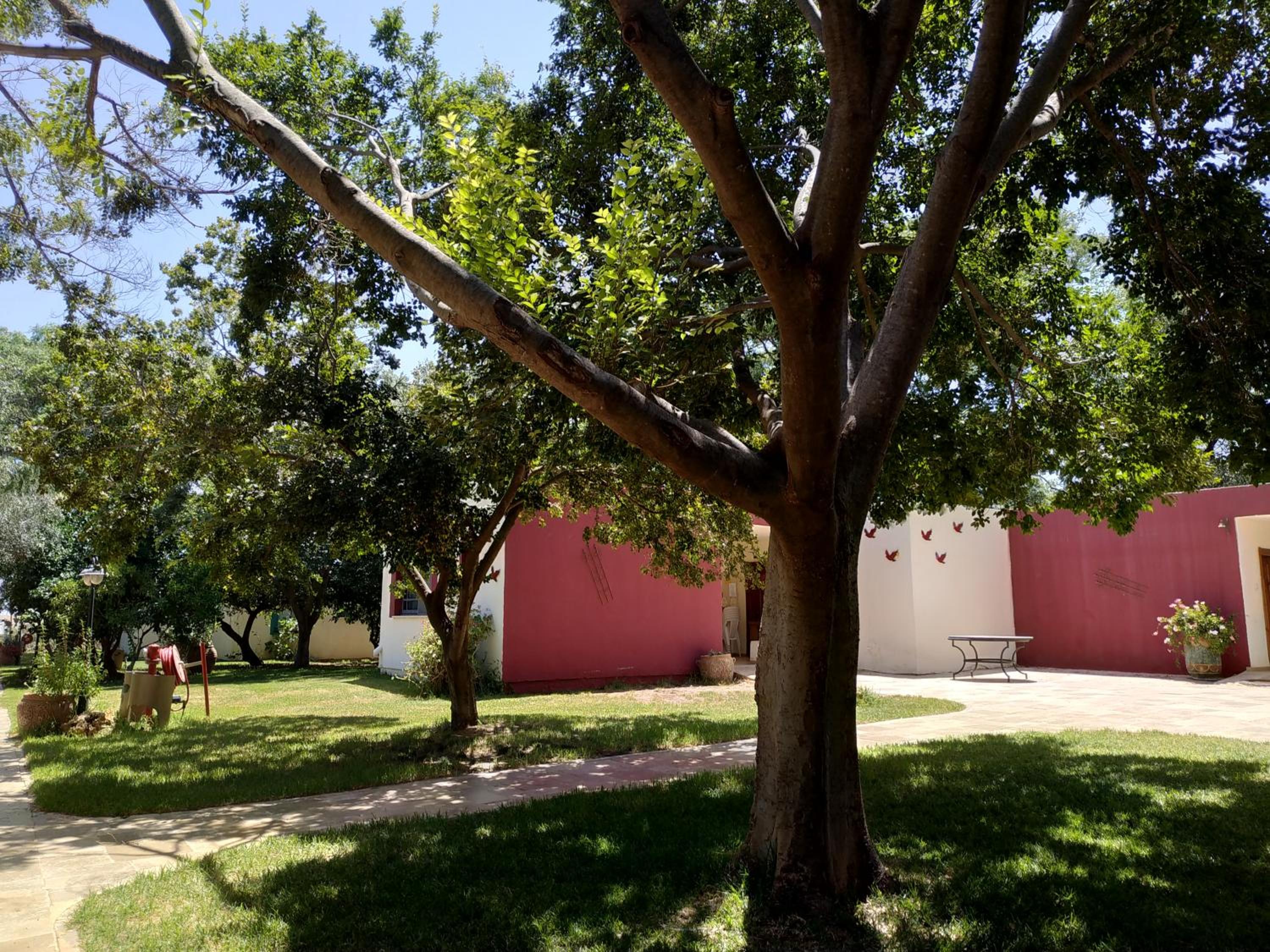children's play area