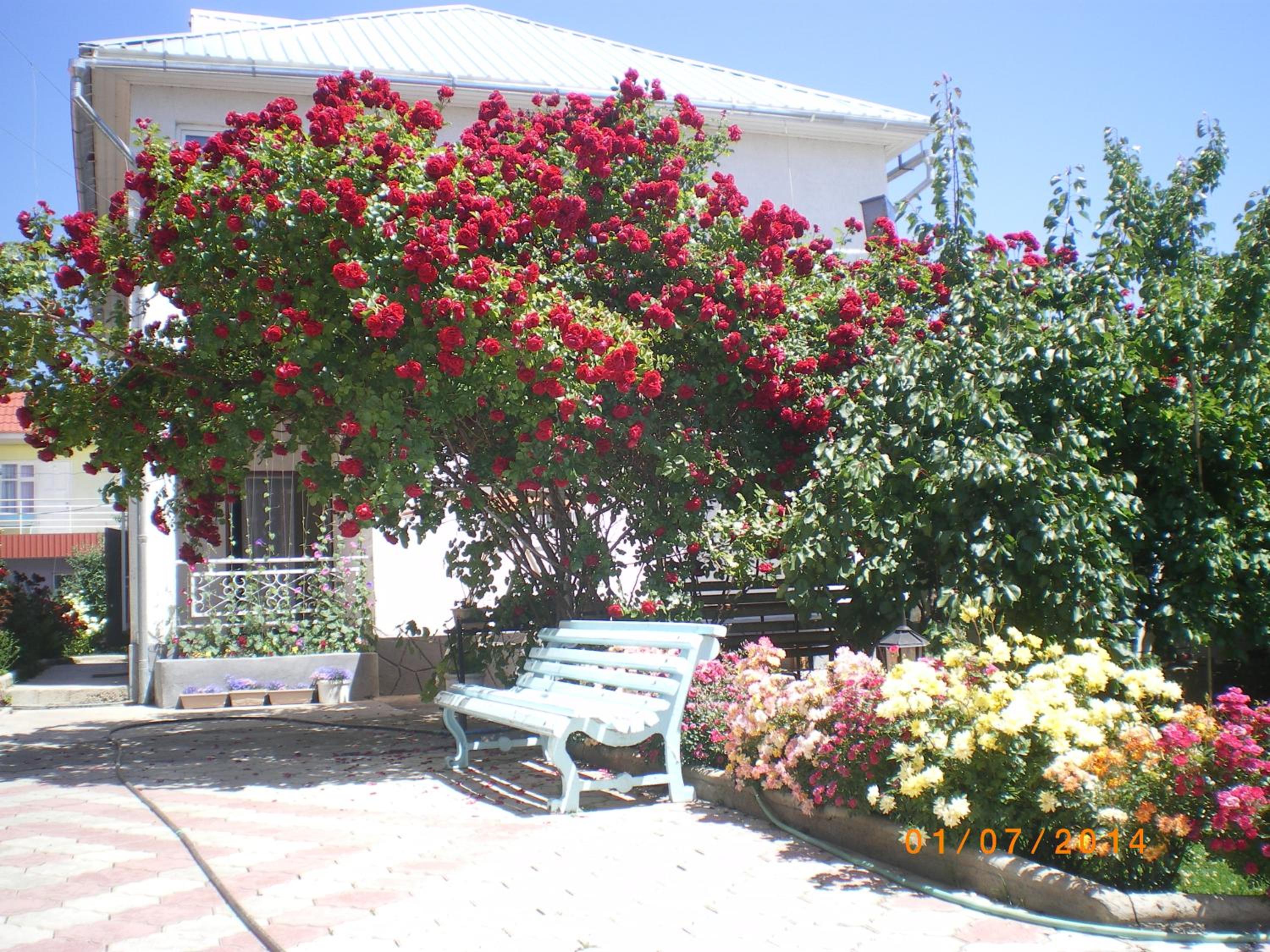 Prestige Guest house view 2