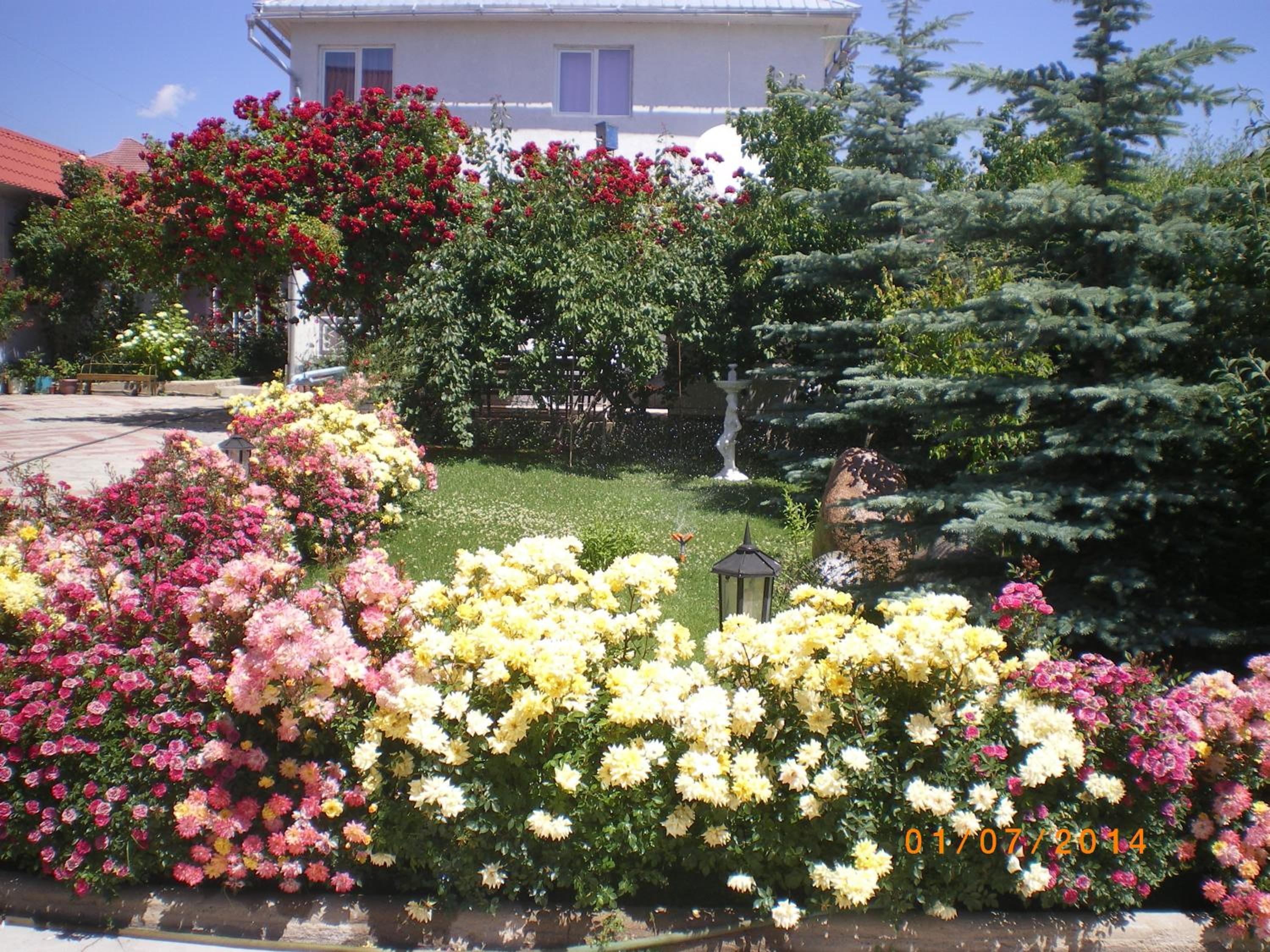 Photo 8