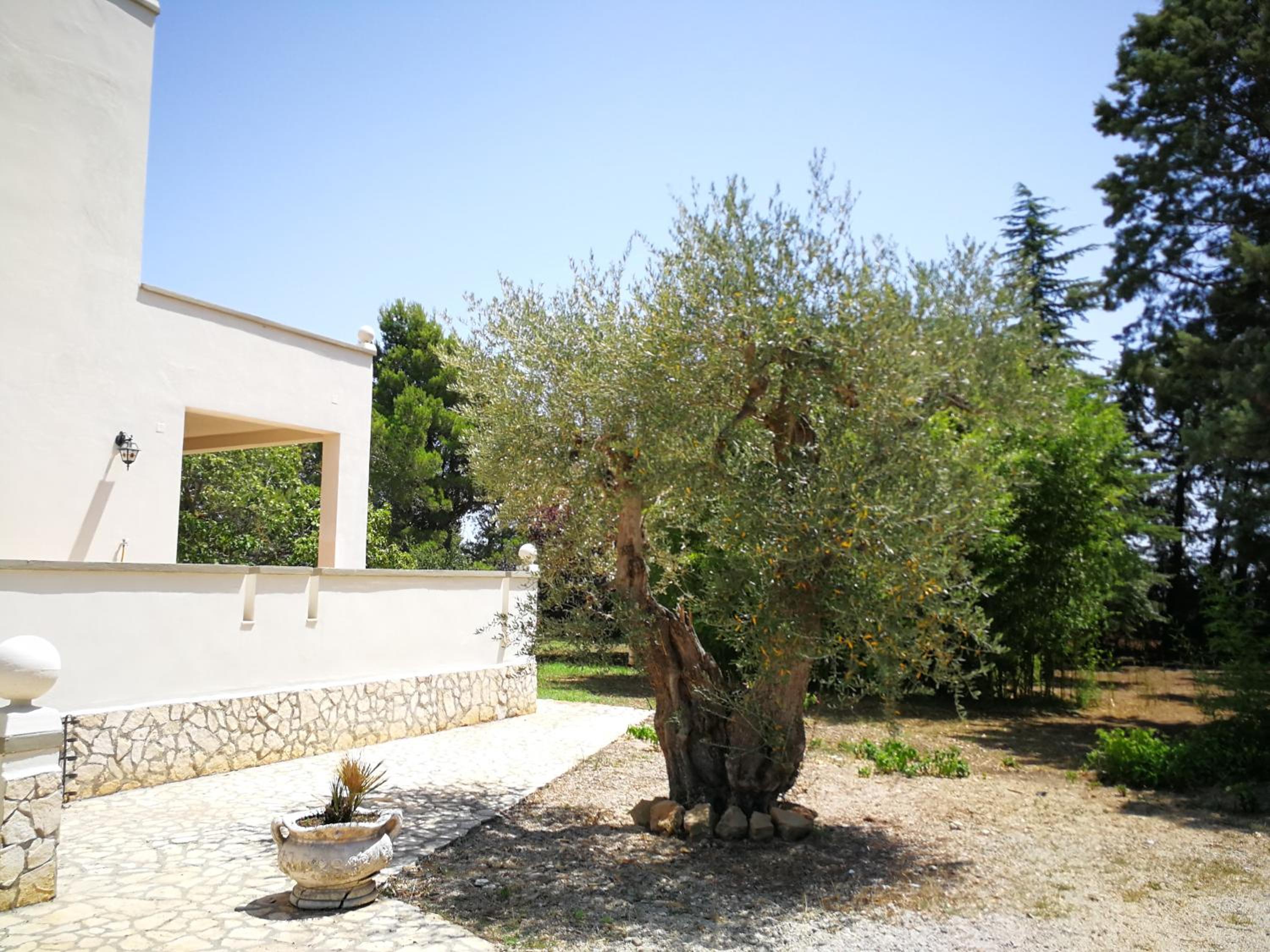 Villa Ramolina view 5
