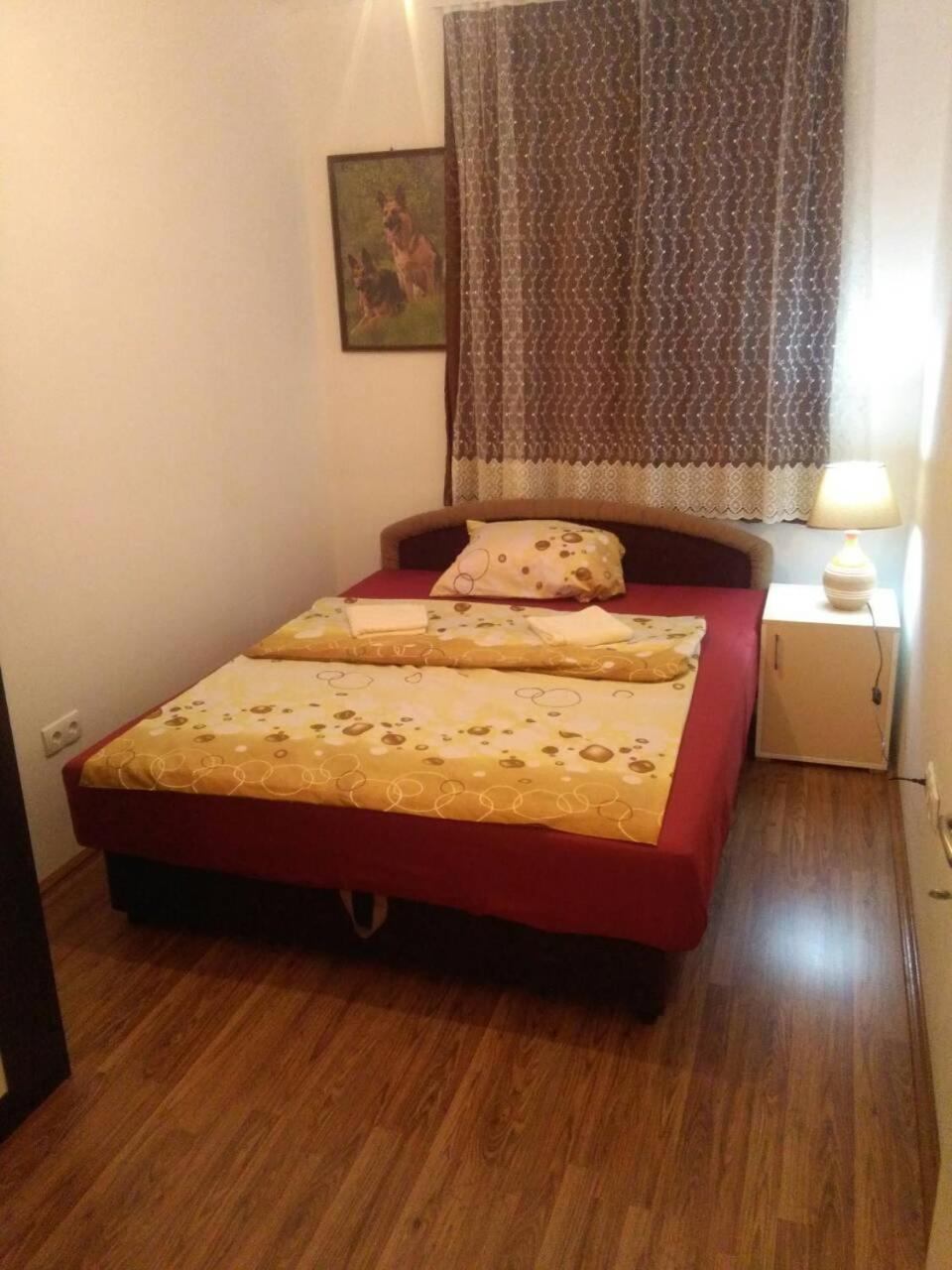 Photo 50