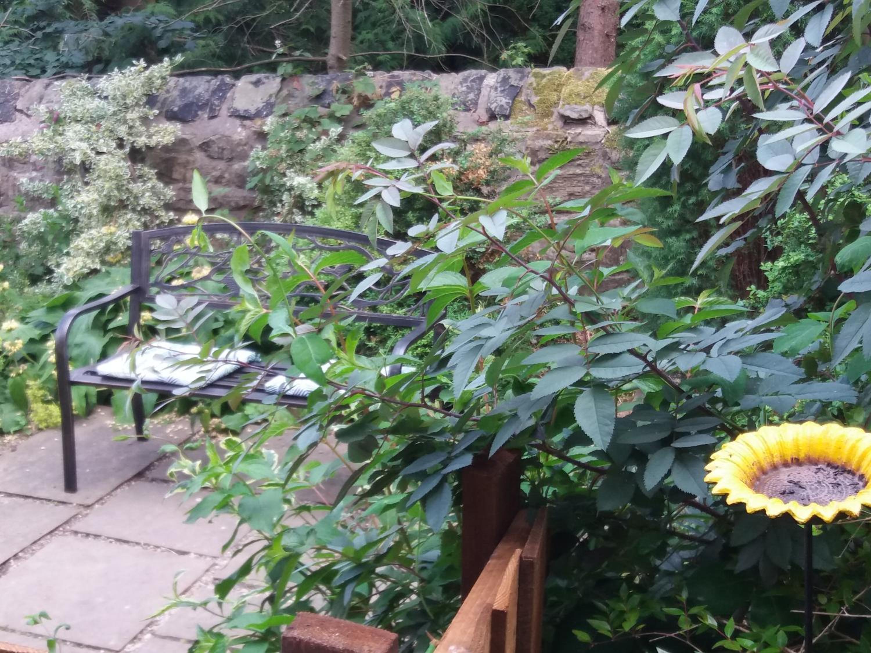 Hedgehope Cottage Alnwick