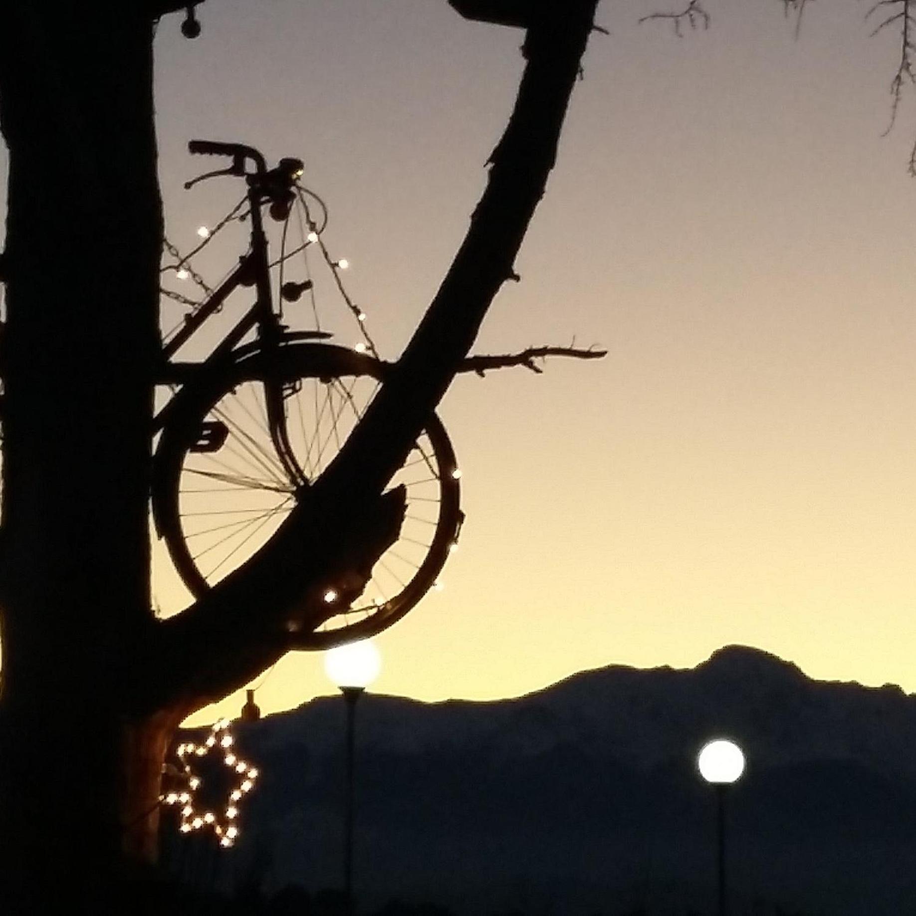 B&B L'Albero Di Antonia view 2