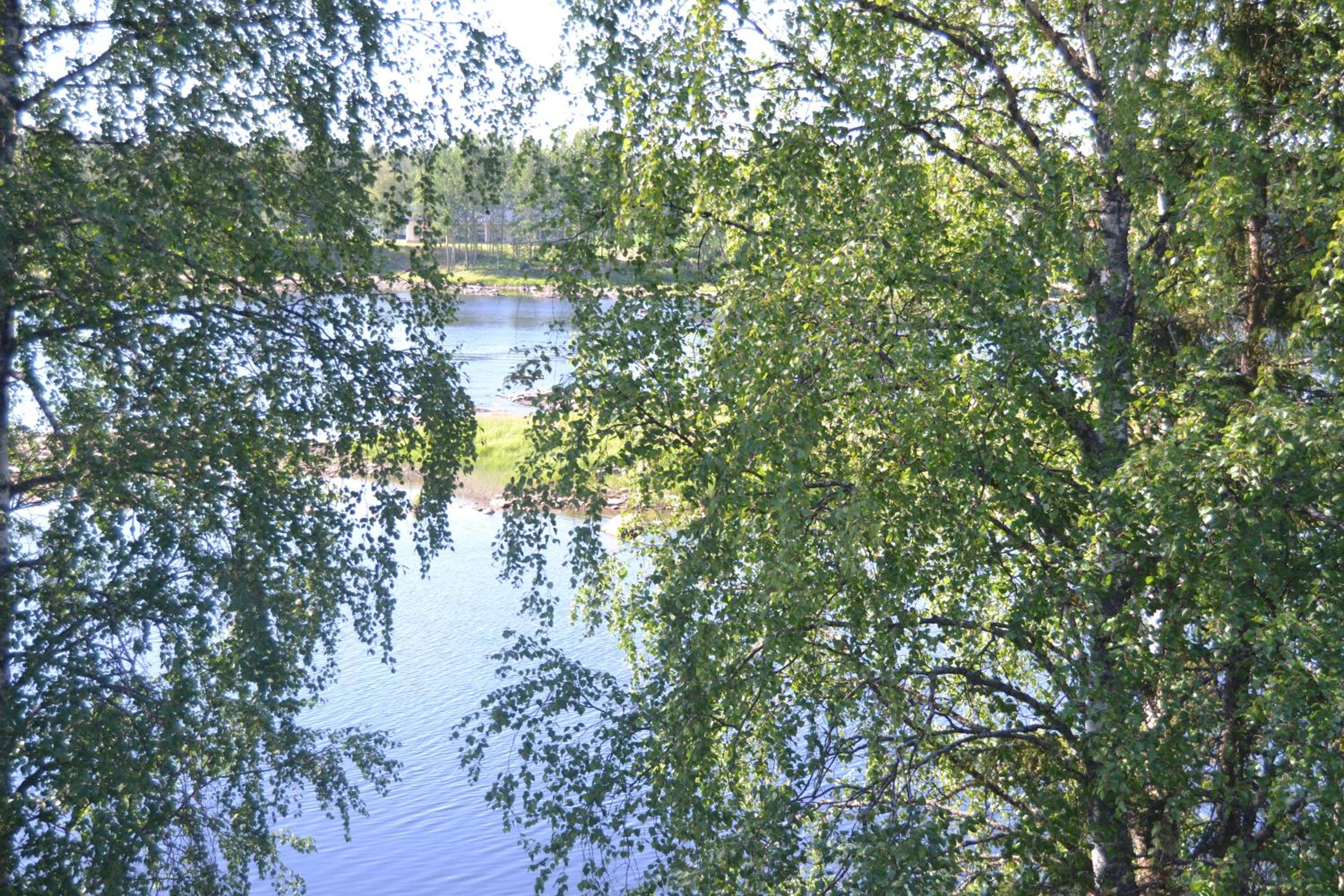 Photo 47