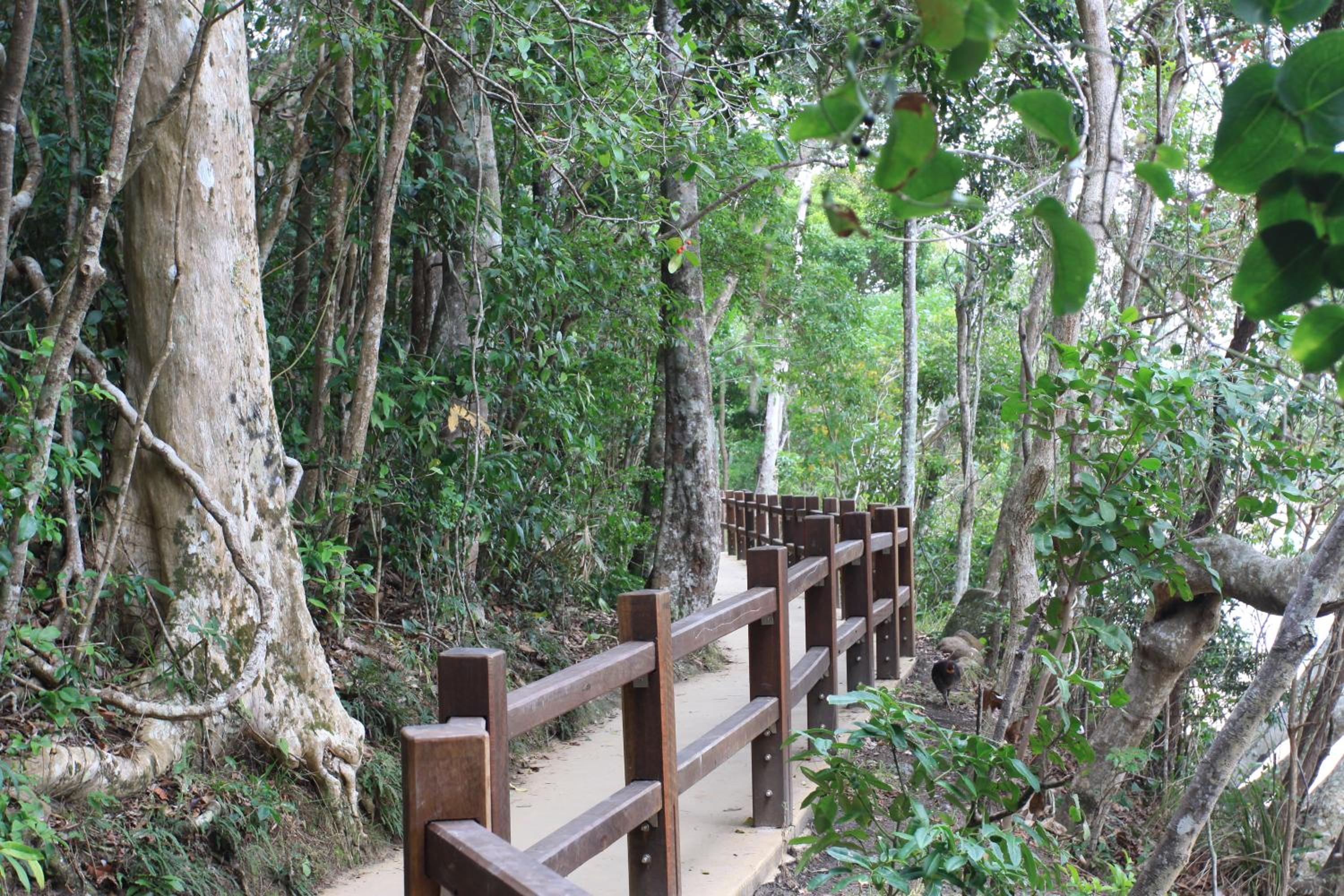 Koala Cove Holiday Apartments