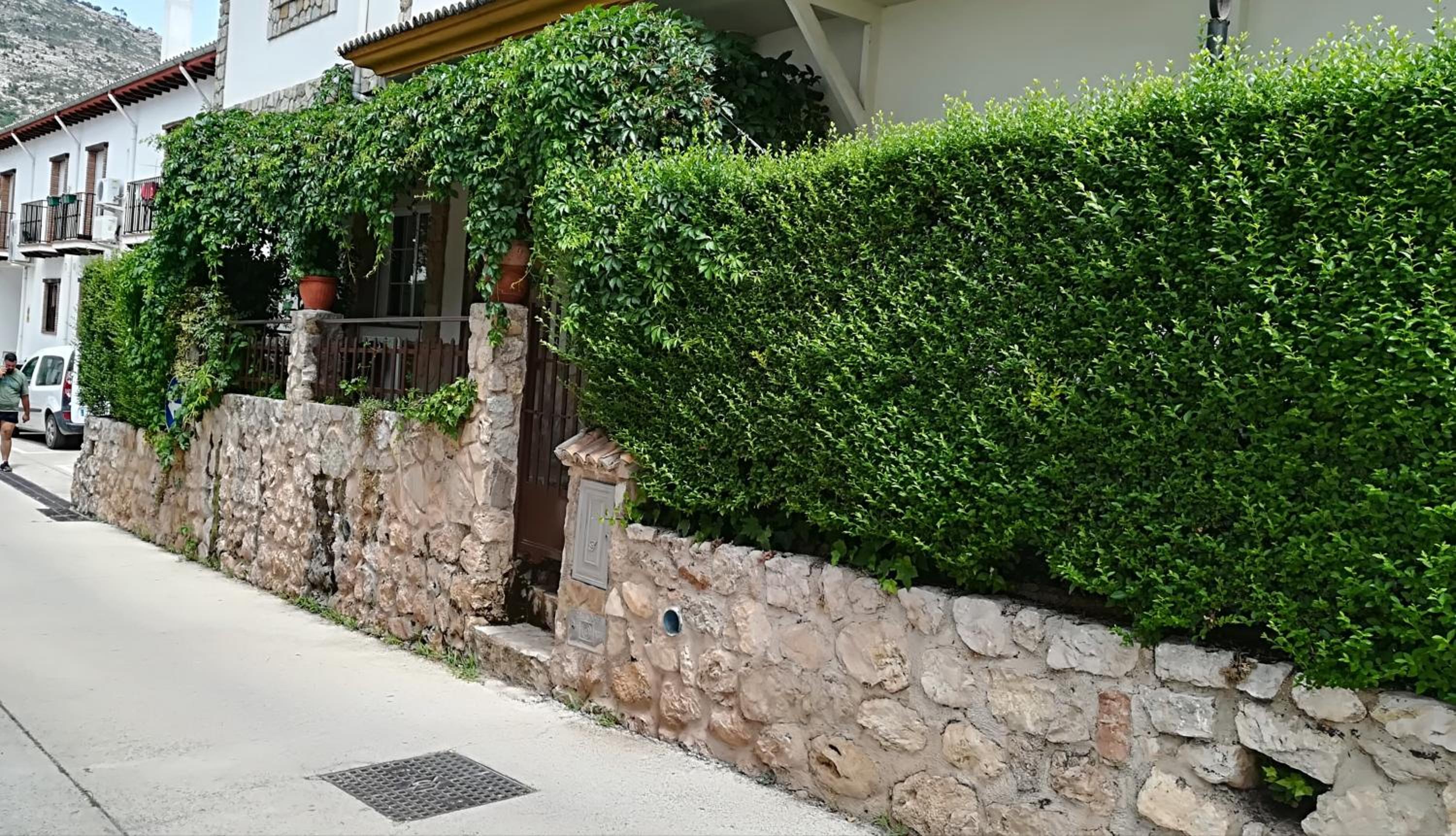 Photo 15