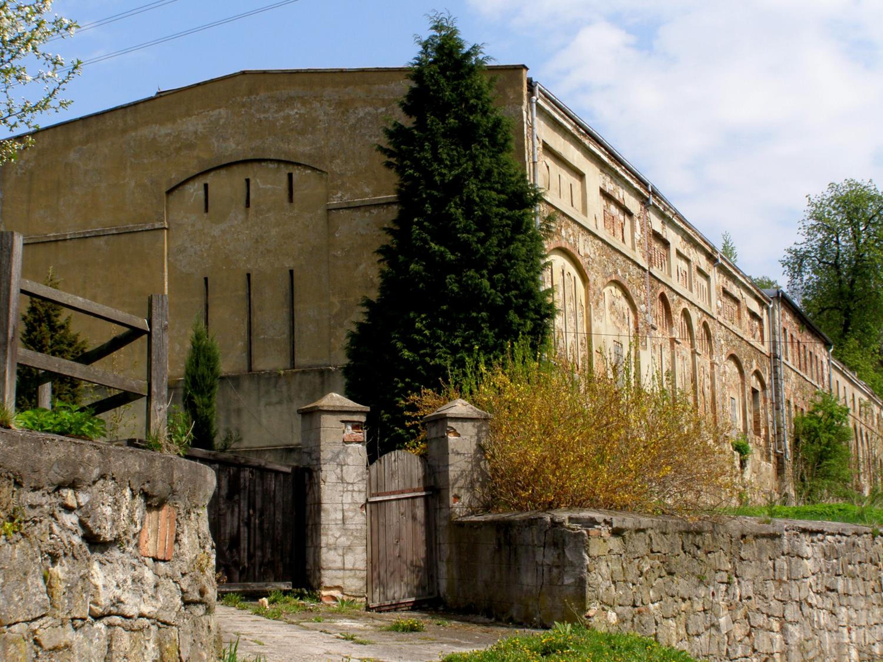 Photo 11