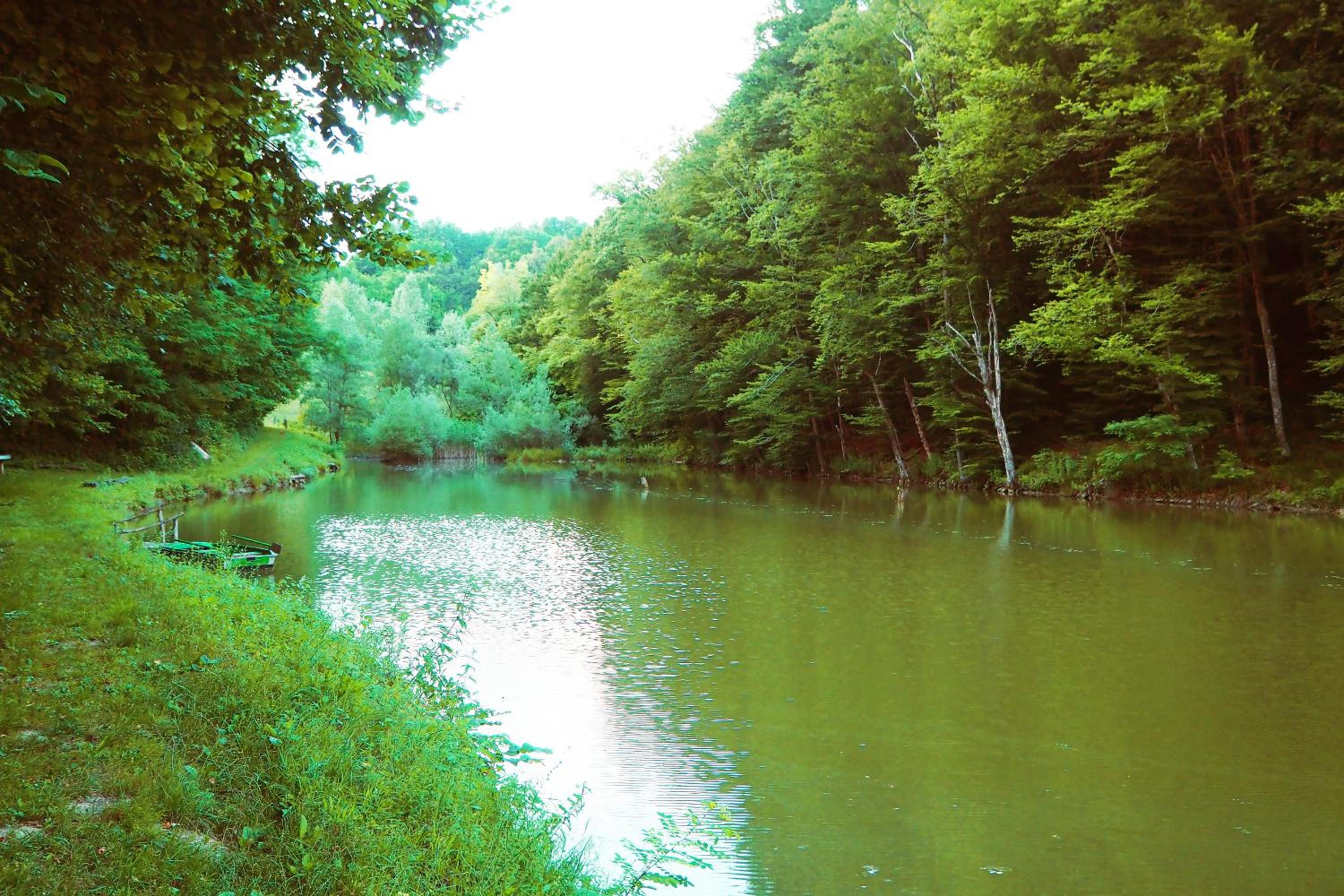 Photo 18