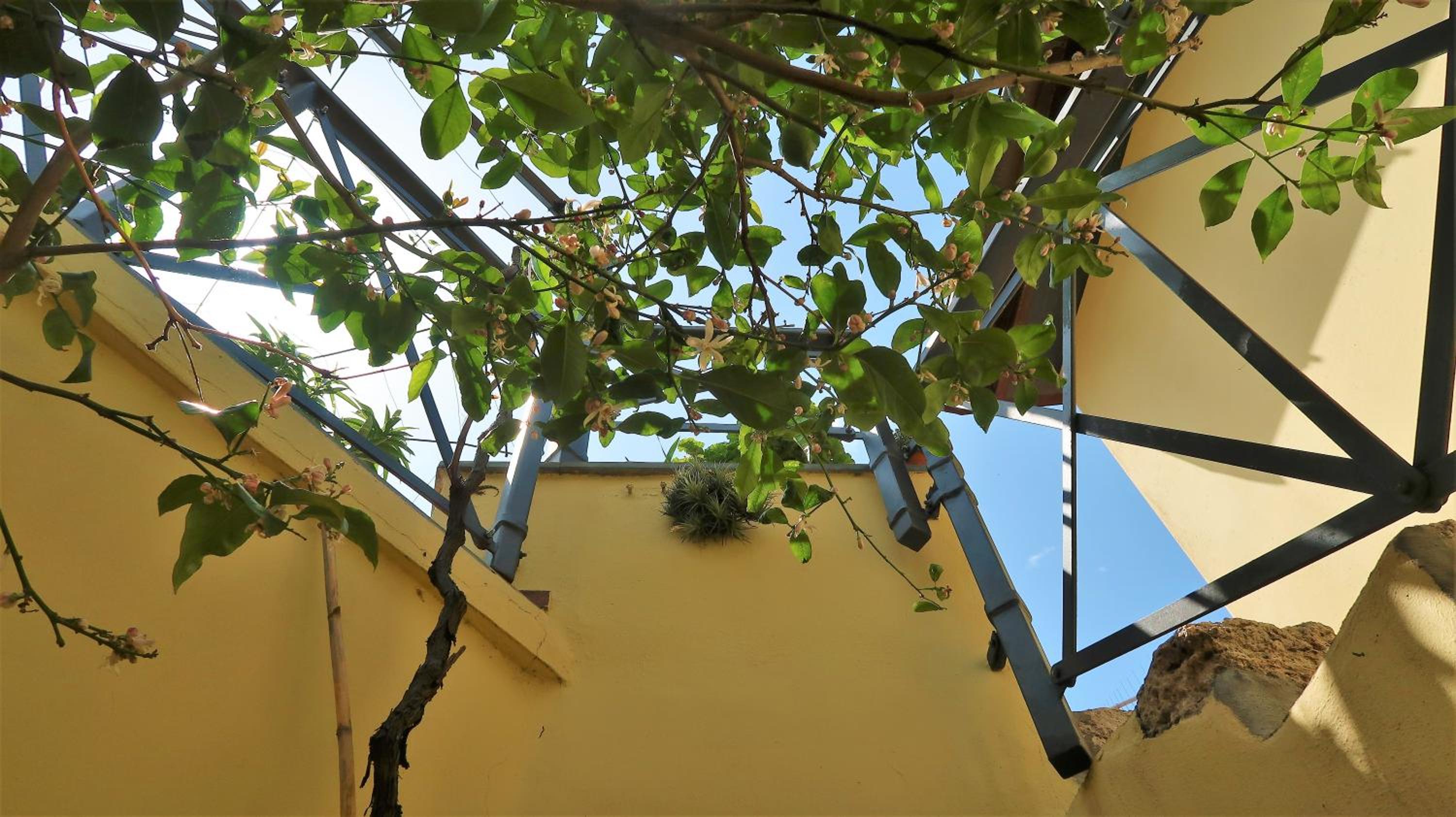 Photo 44