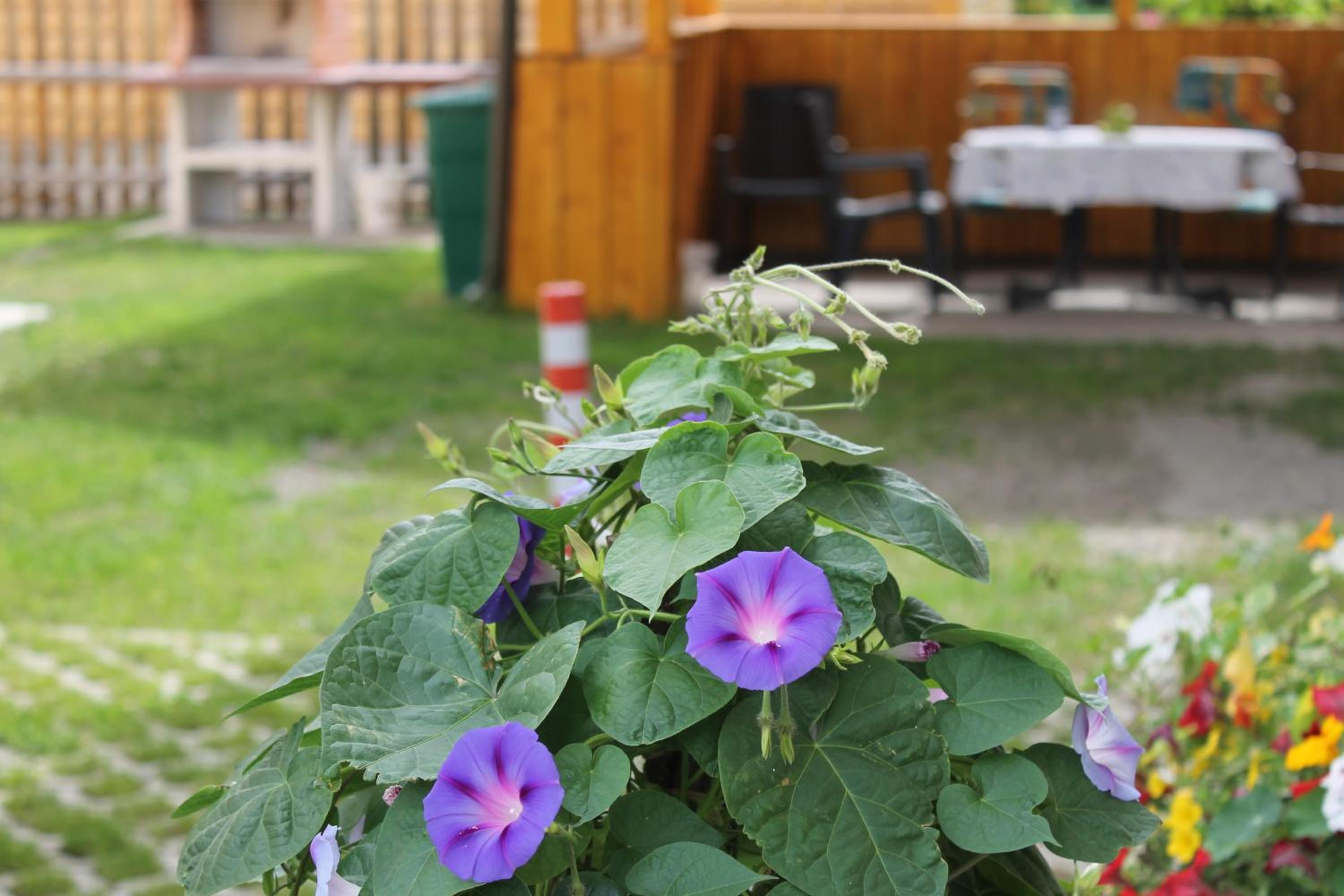 Photo 47