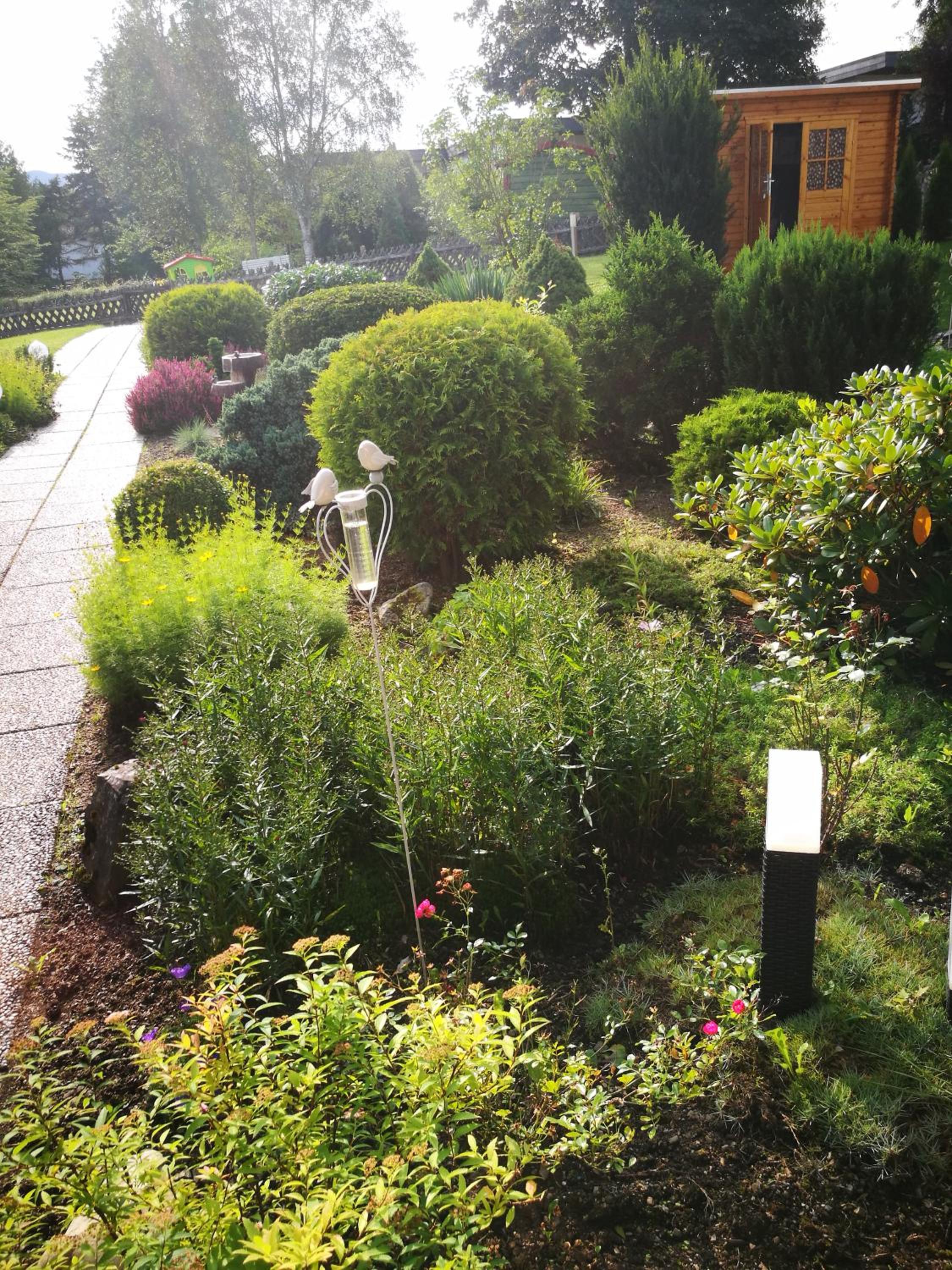 Photo 15