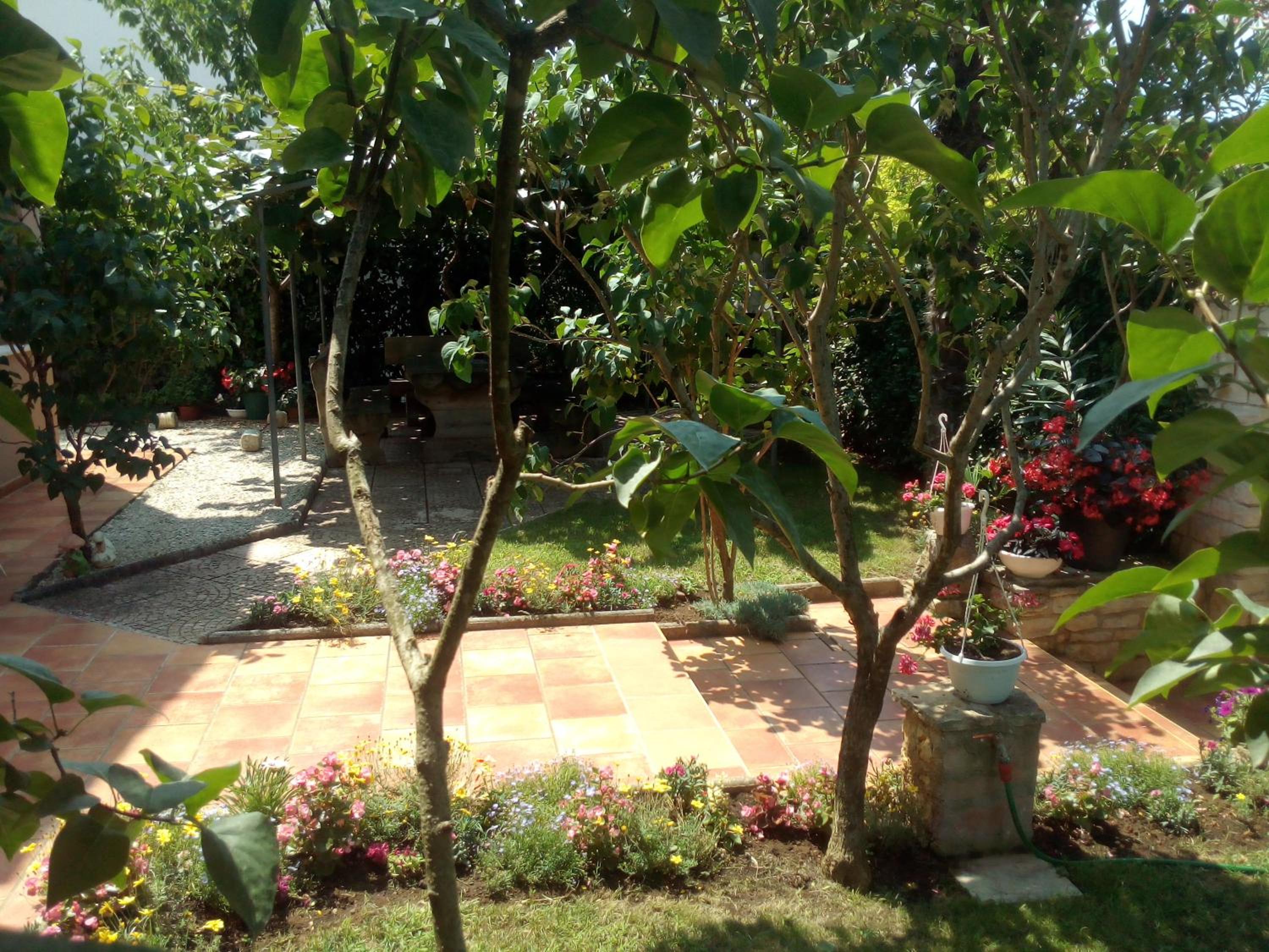 Photo 15