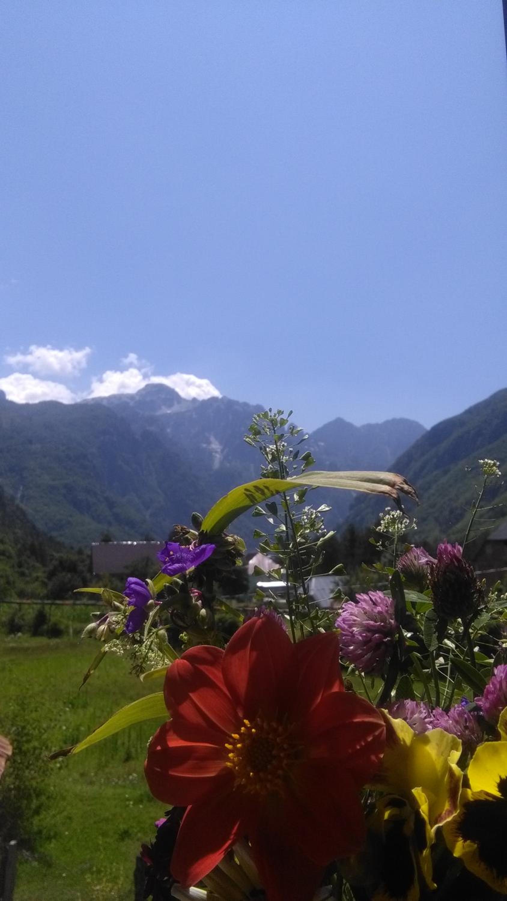 Guest House Flodisa