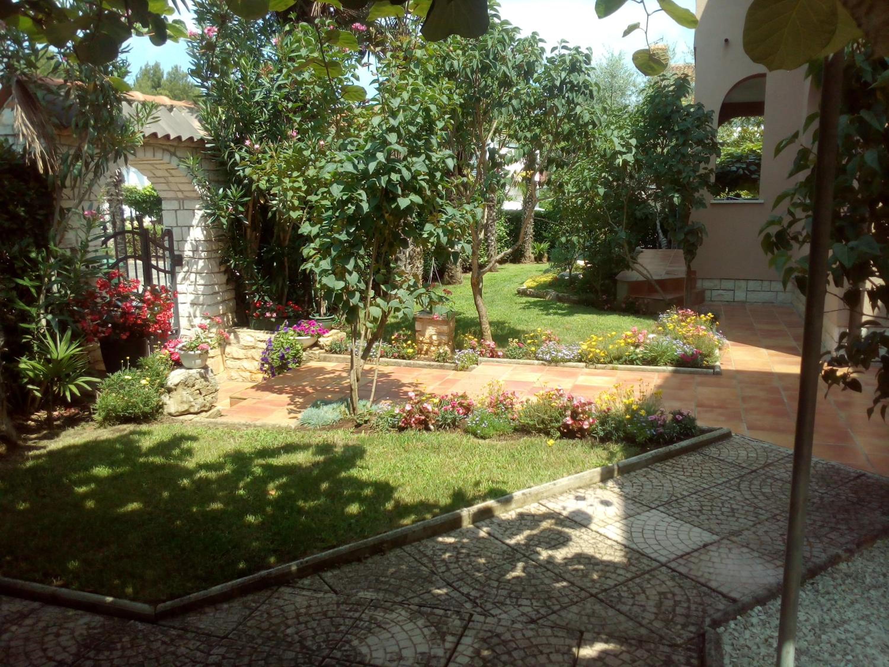 Photo 10