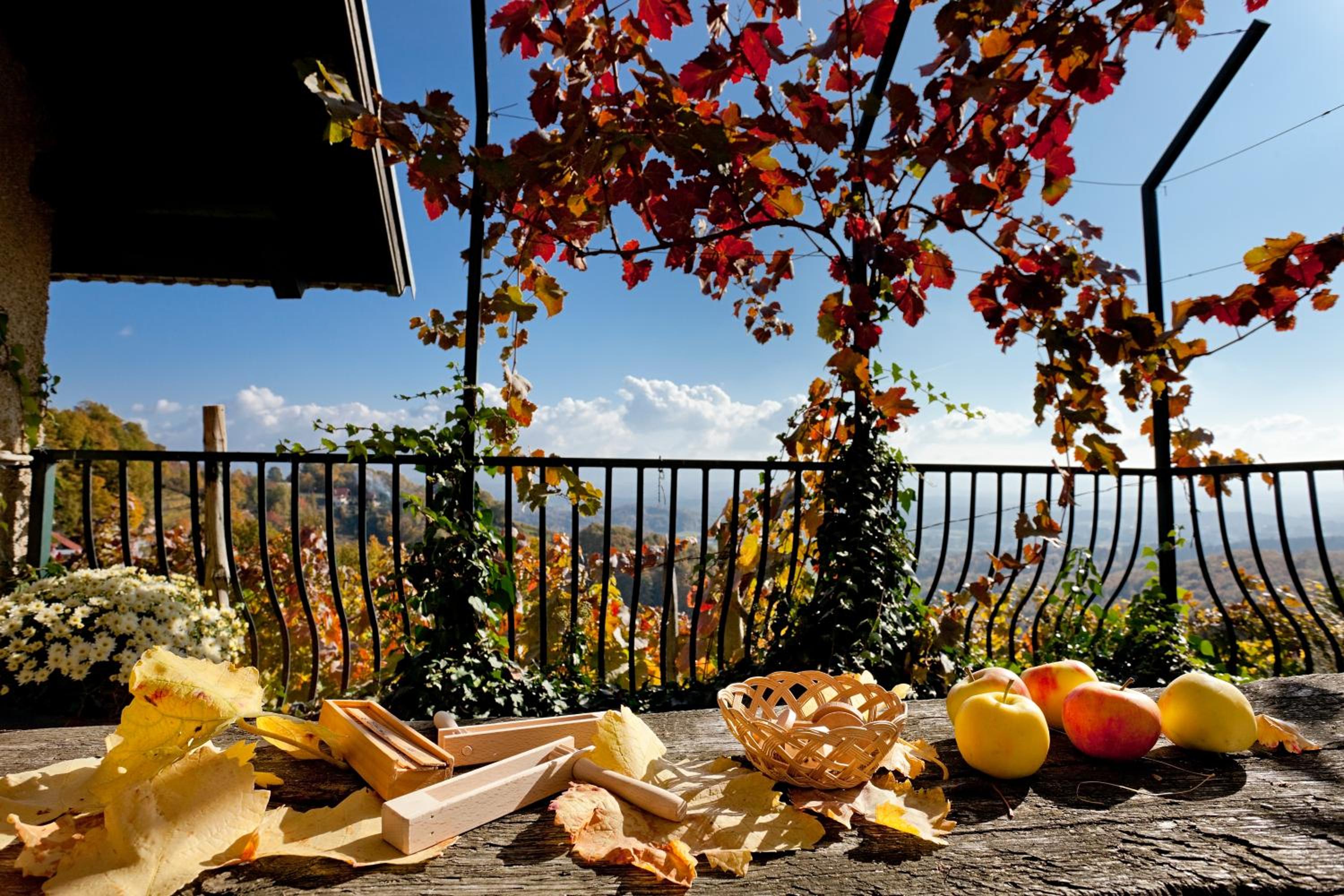 Vineyard Cottage Vercek view 3