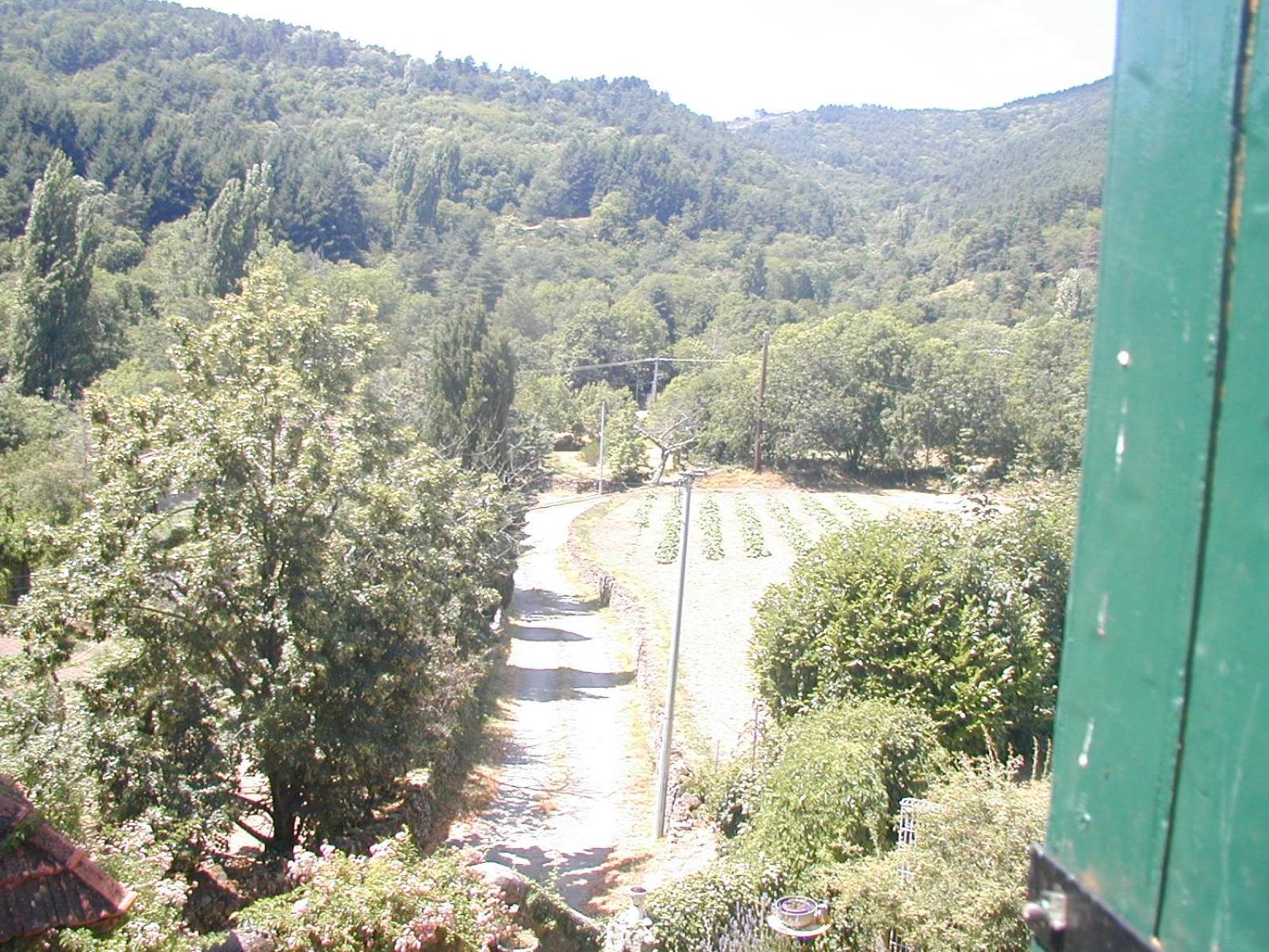 Photo 26
