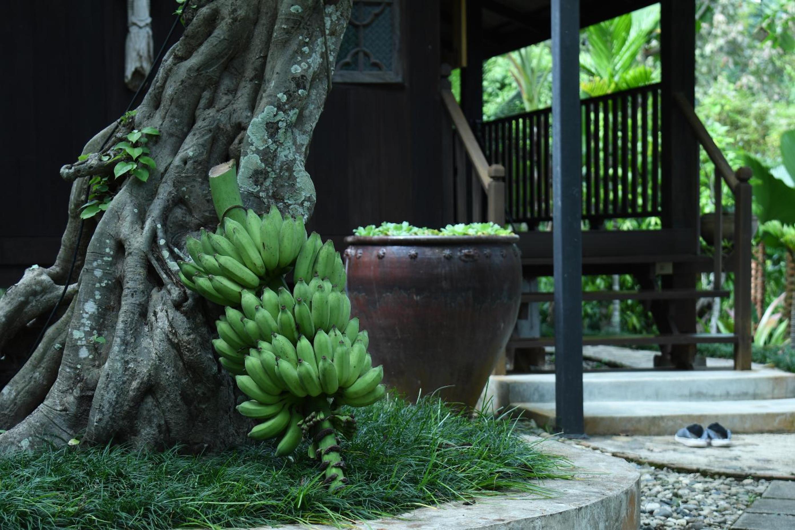 Mae Nai Gardens