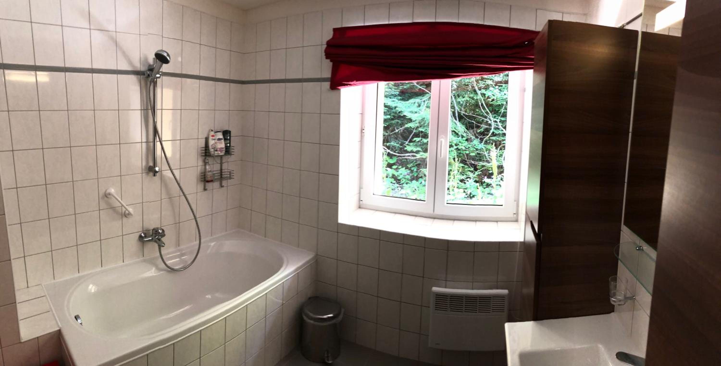 Apartman Poustevnik view 3