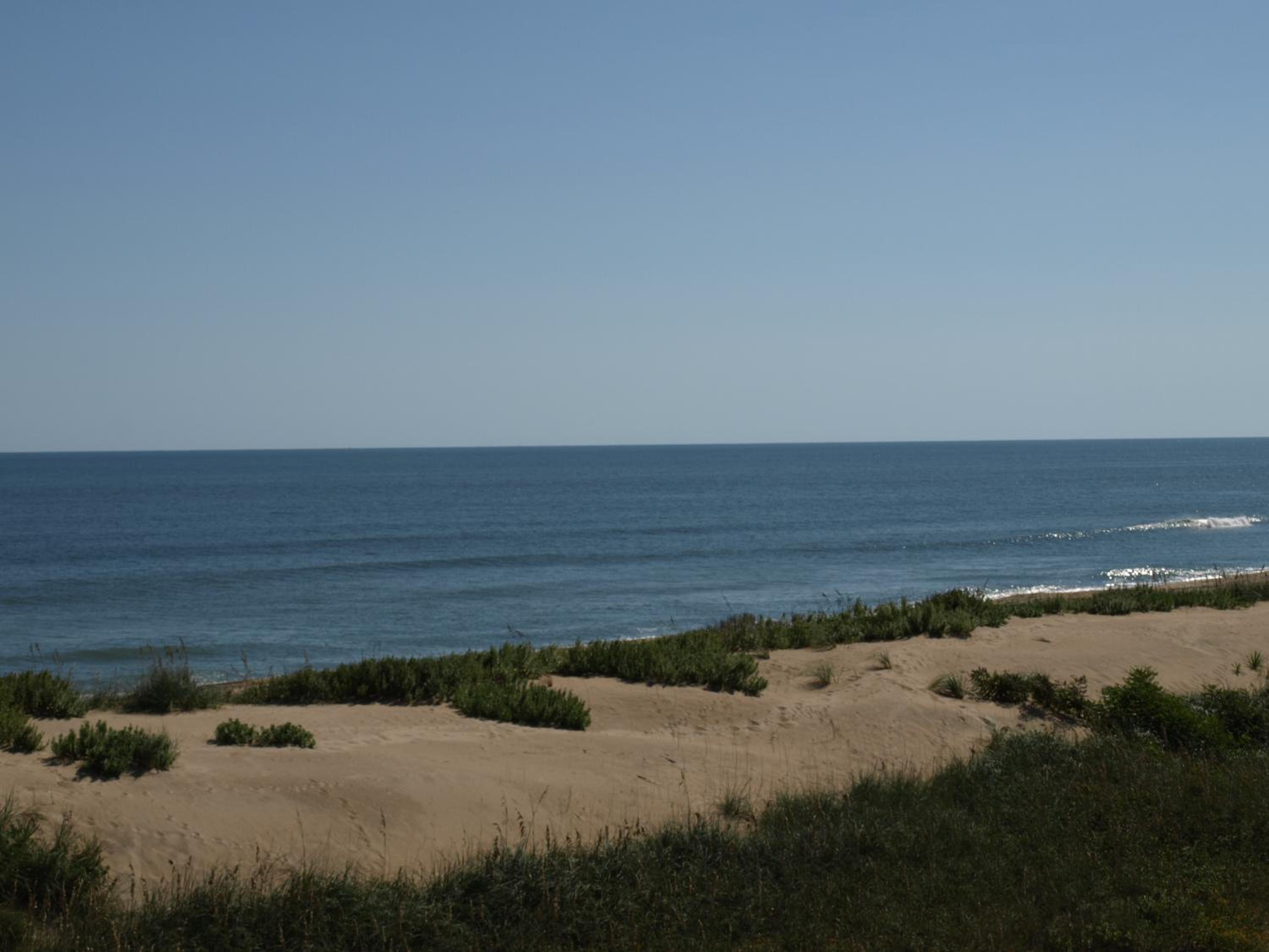 Surf Side Hotel