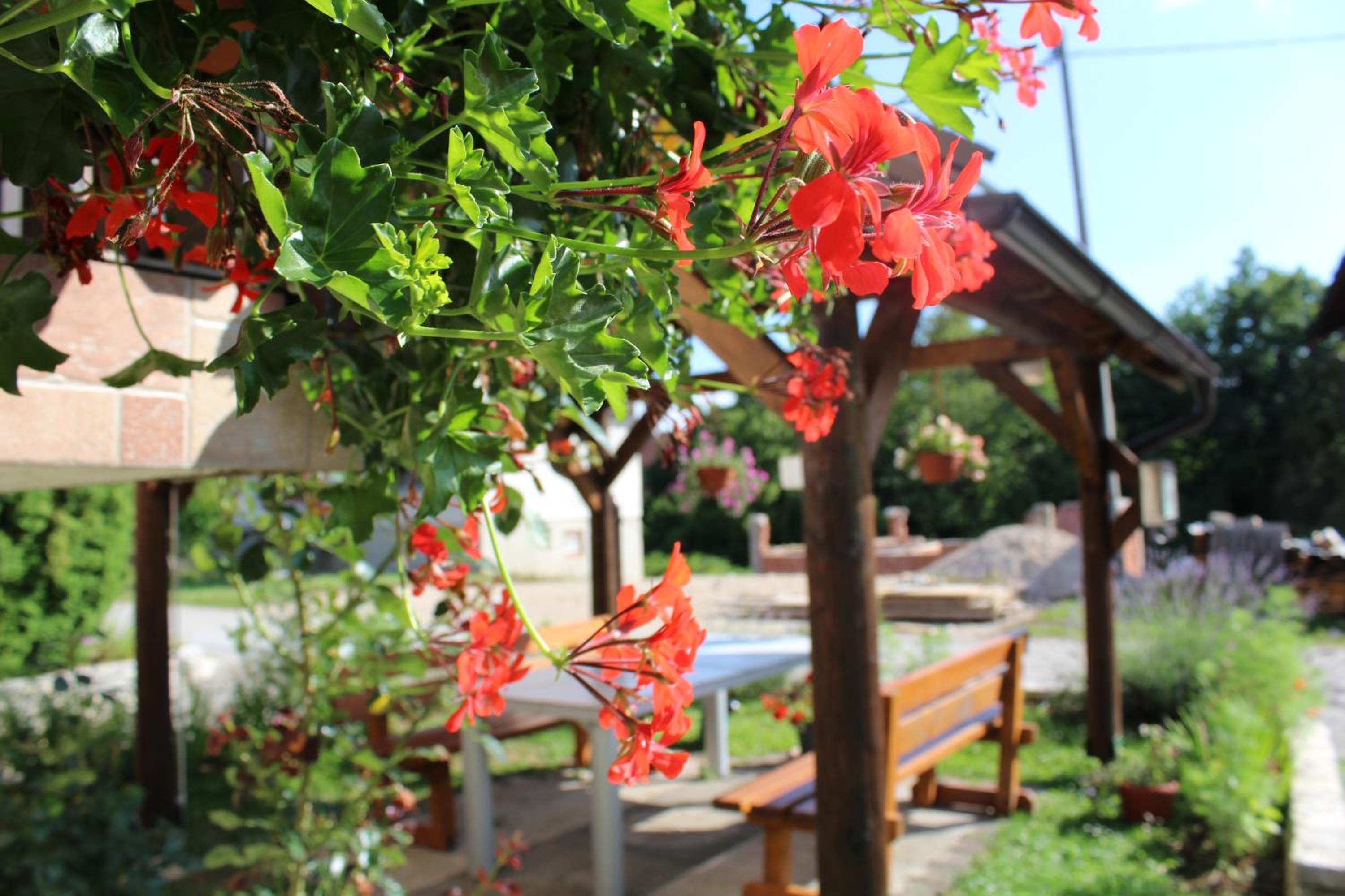 Photo 44