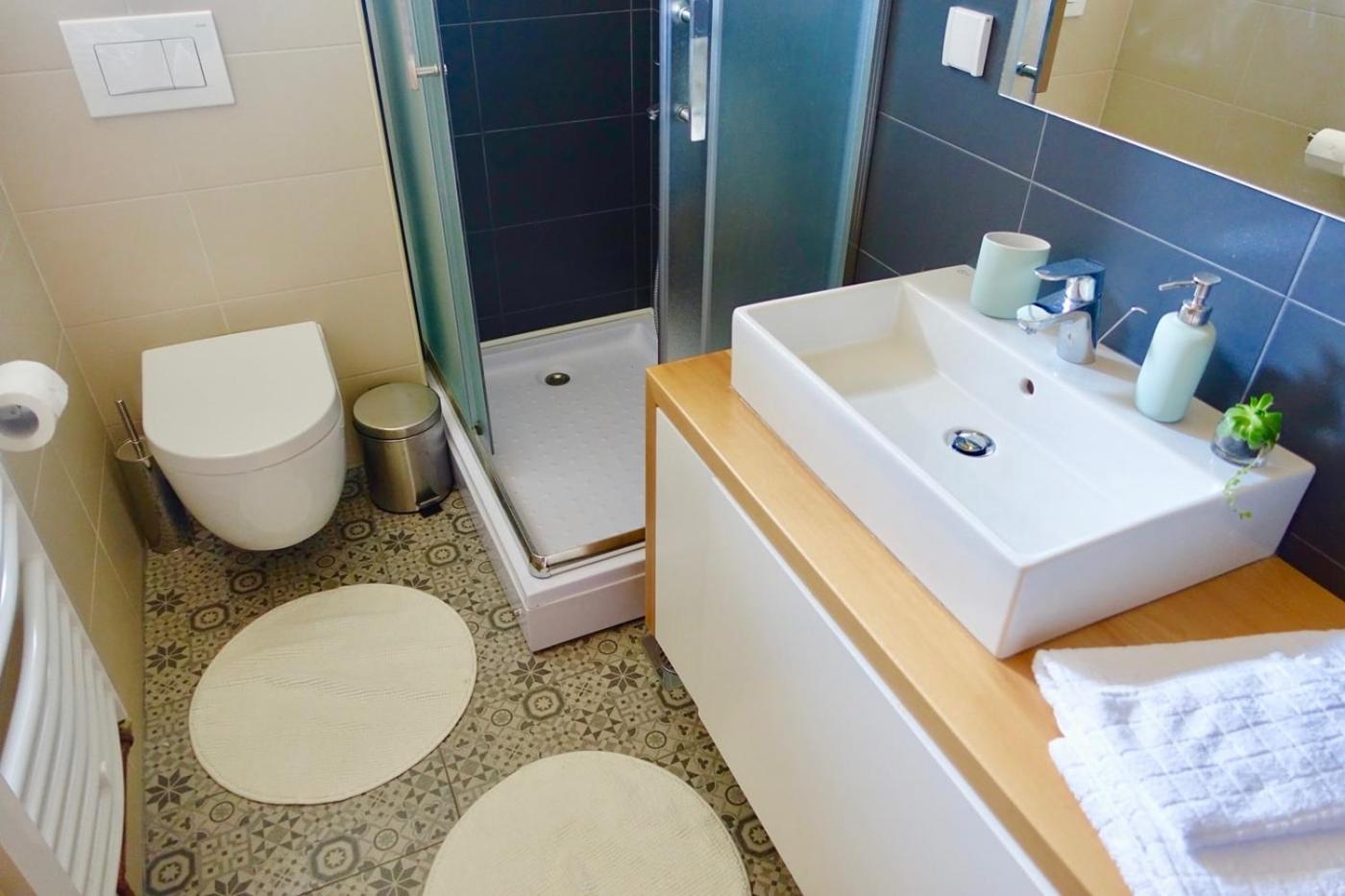 Apartments Milic view 5