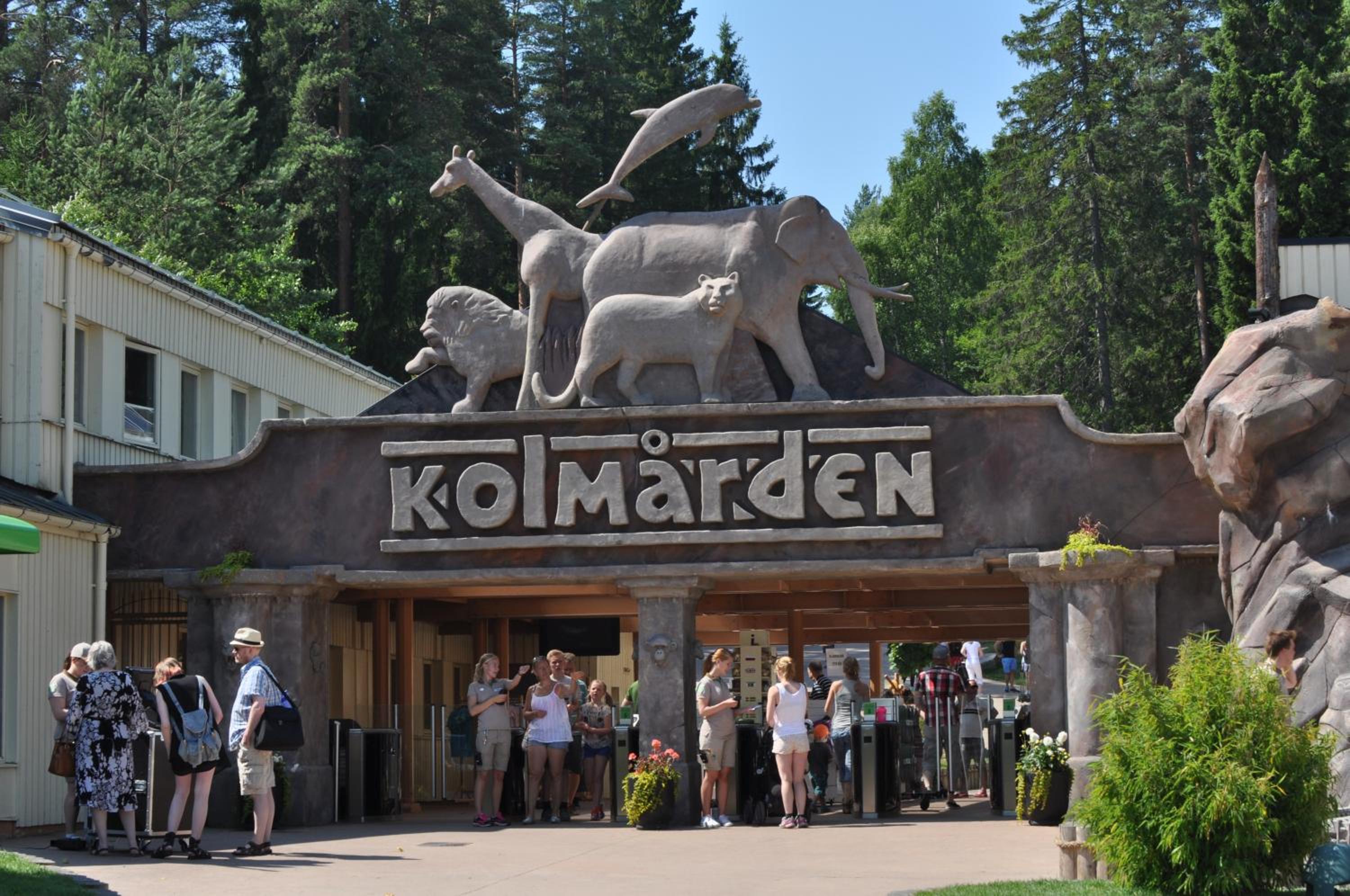 Duvberget
