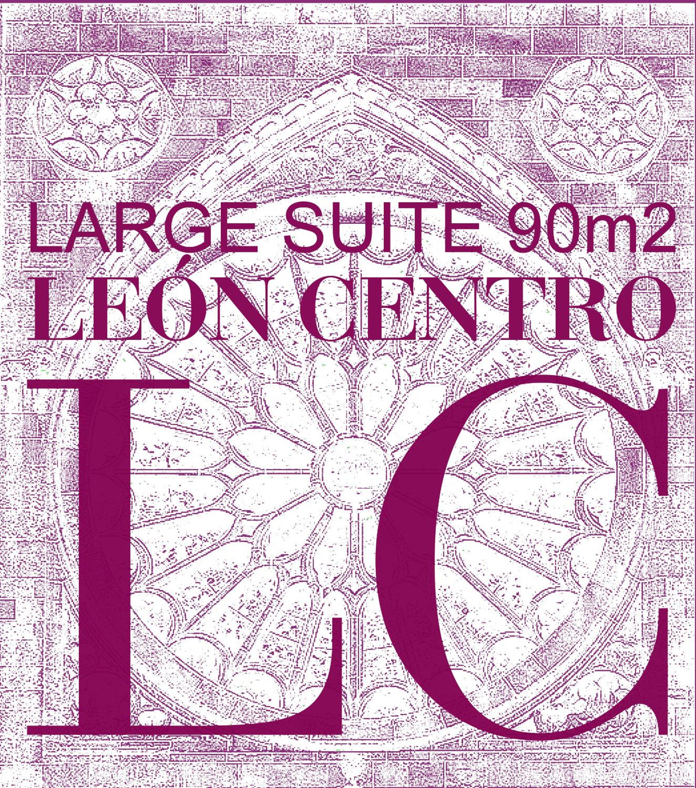 LARGE SUITE 90m2 LEÓN CENTRO view 2