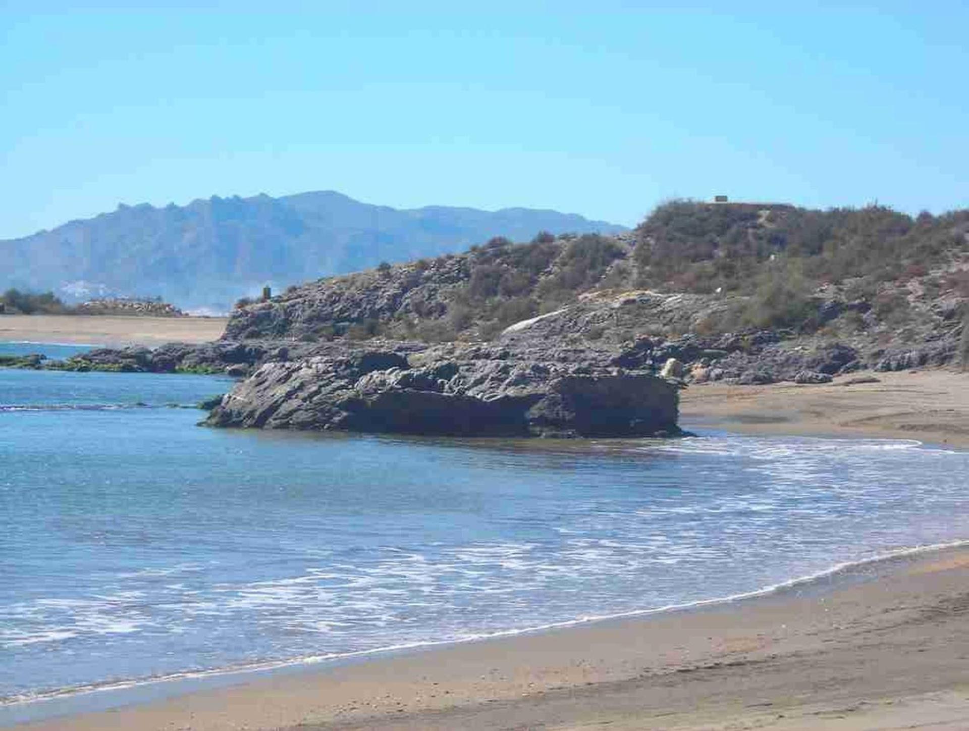Photo 45