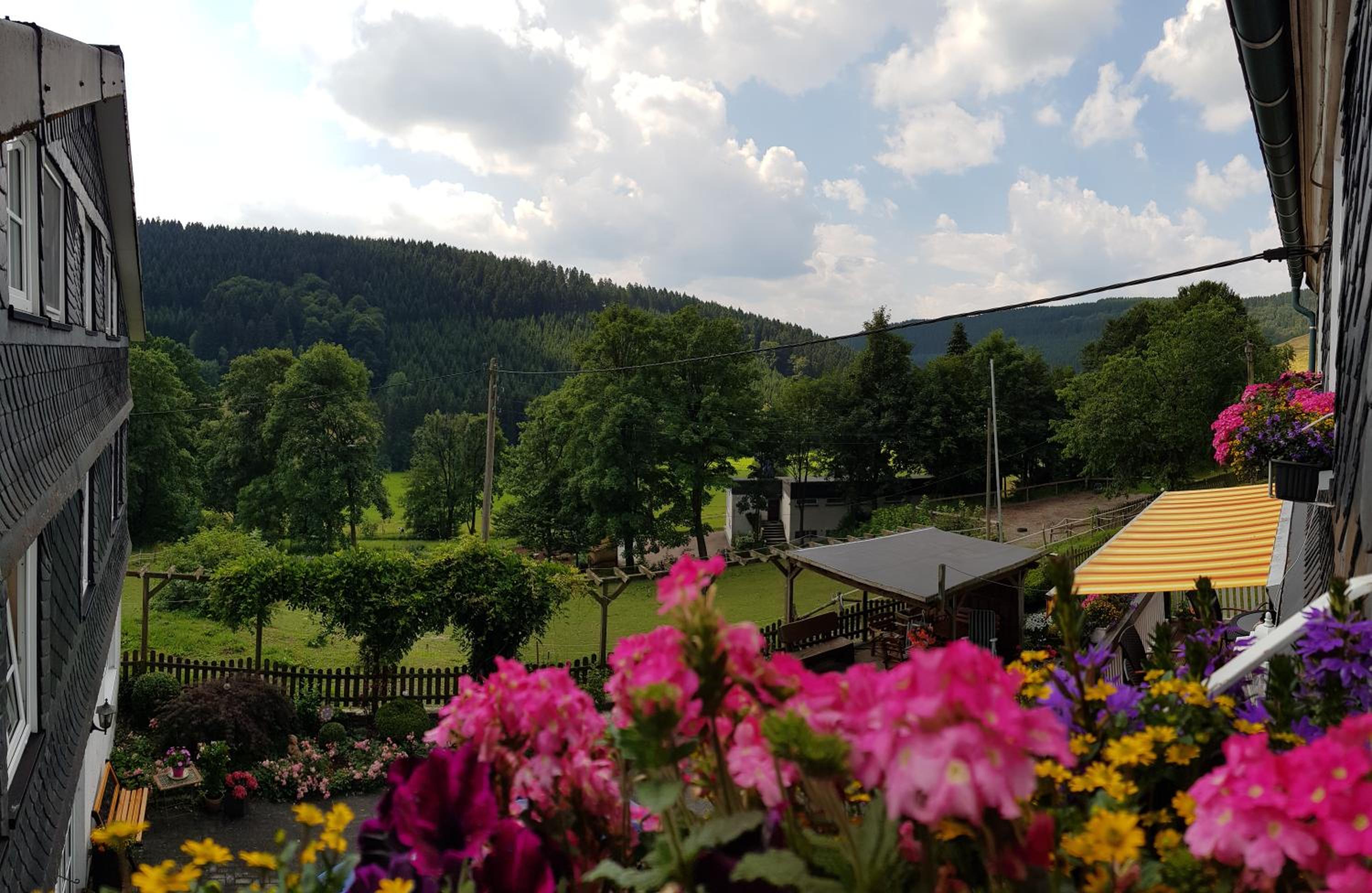 Pension Bergfrieden view 2