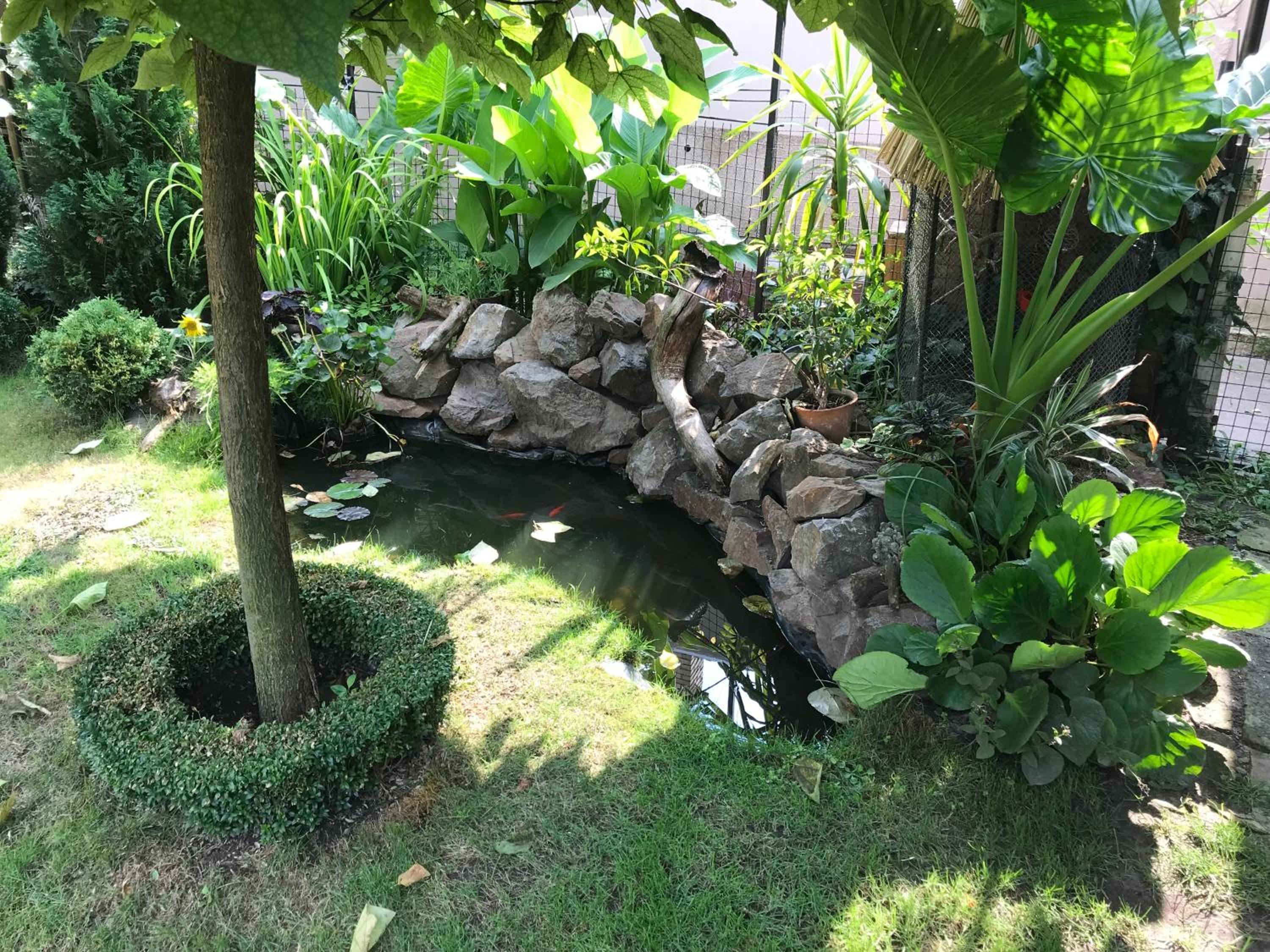 Photo 26