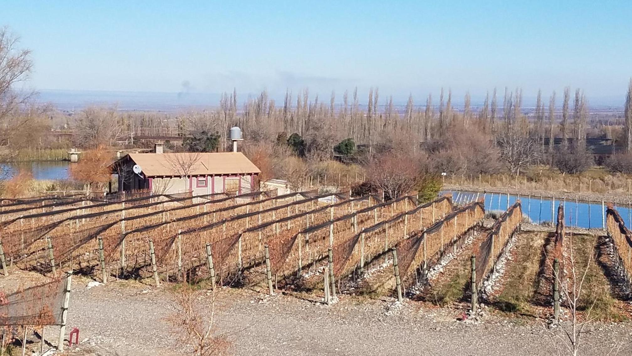 Cabaña del Alto Tupungato