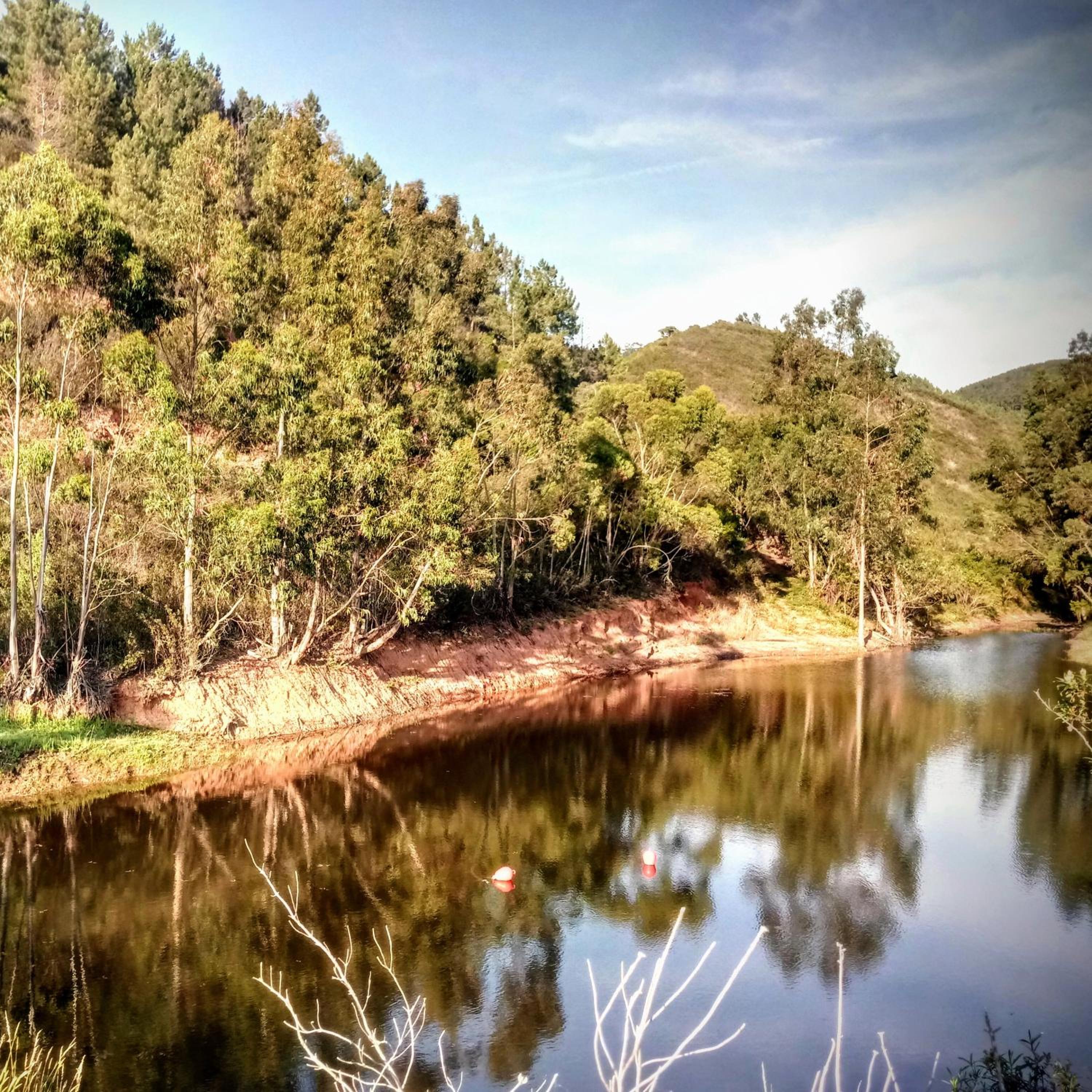 Quinta Alma - Ecological Retreat Farm