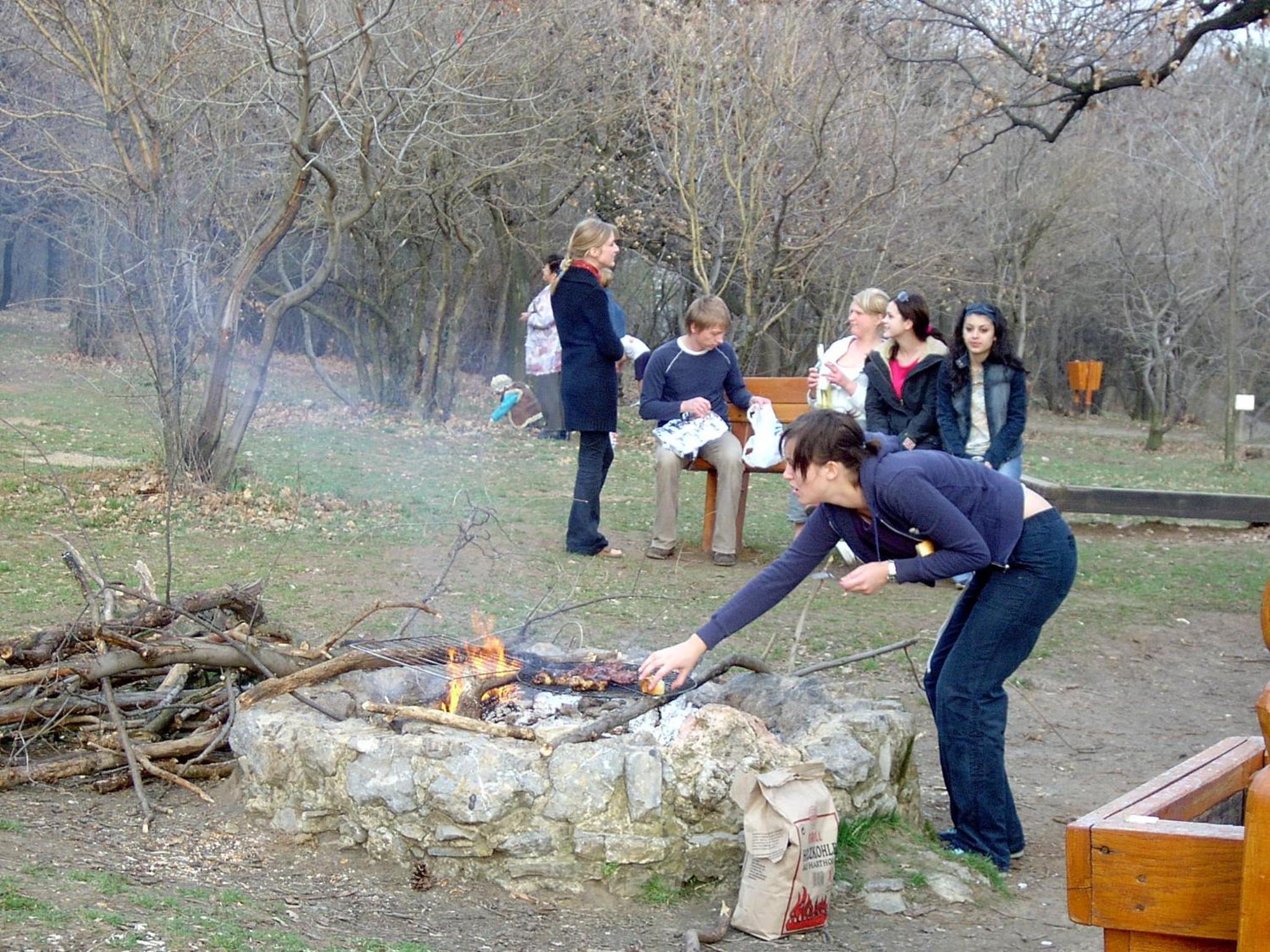 Photo 41