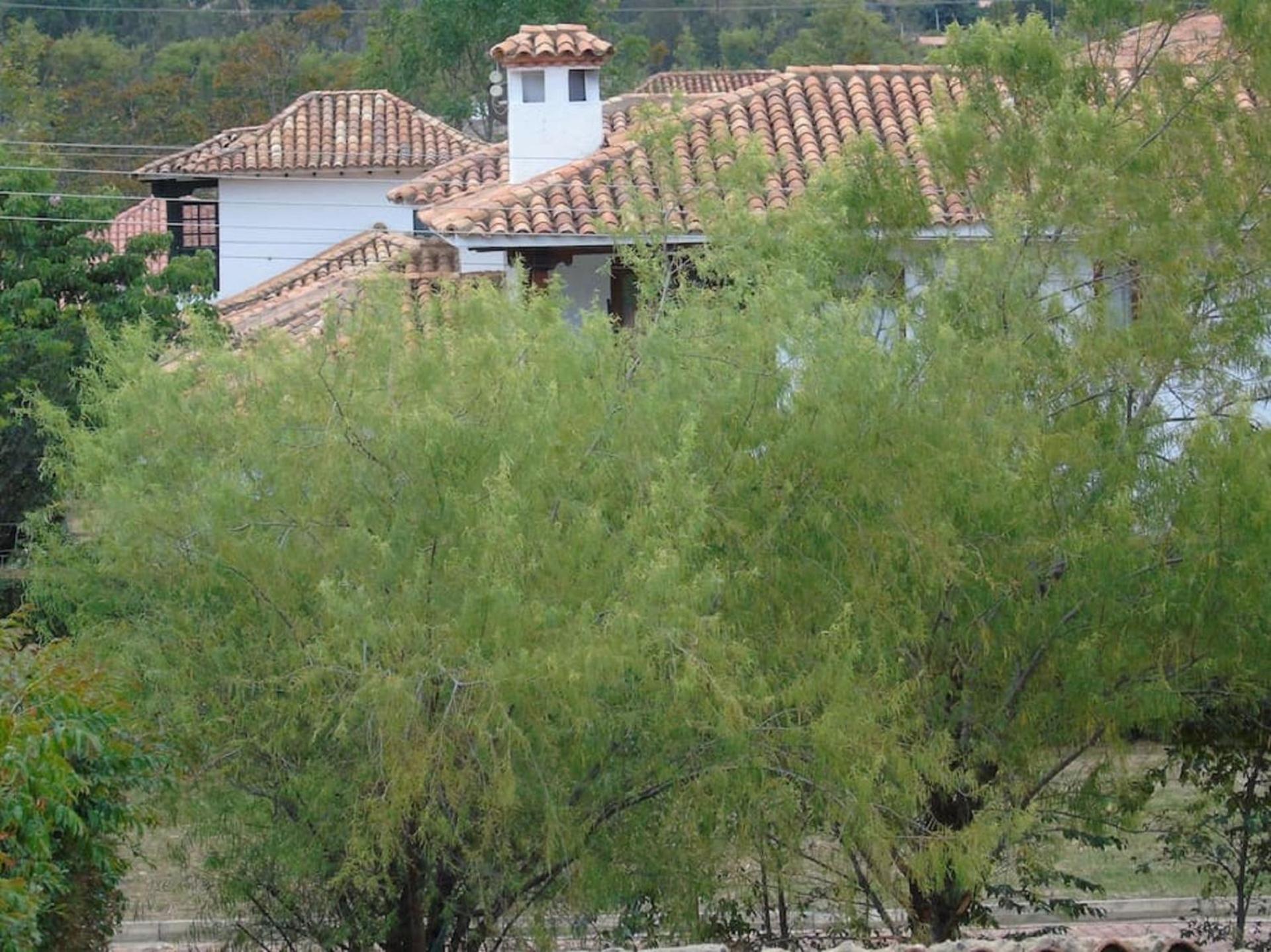 Casa de Huéspedes Faletto