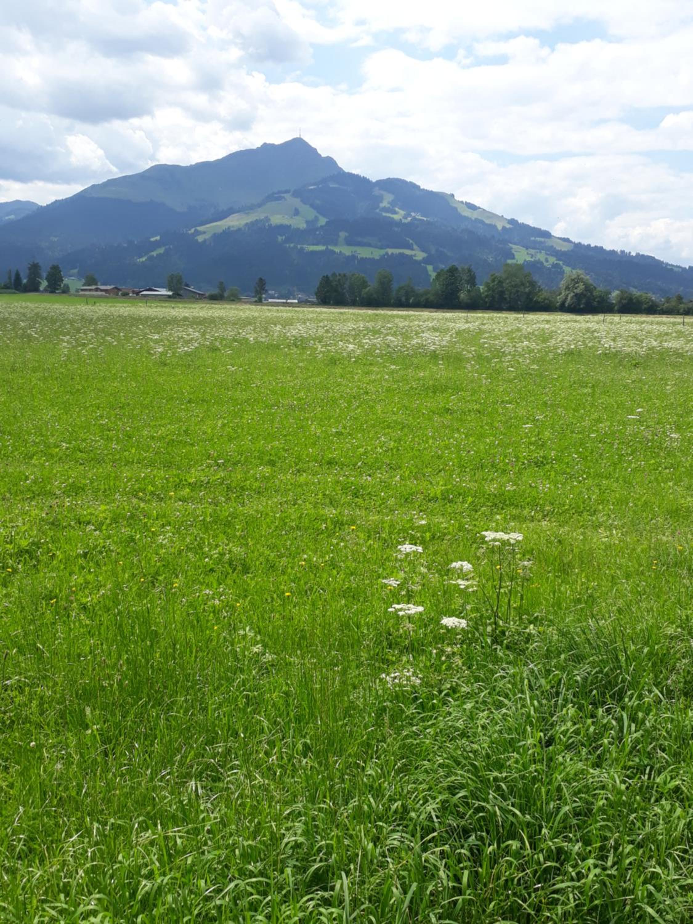 Appartement Müllner view 5
