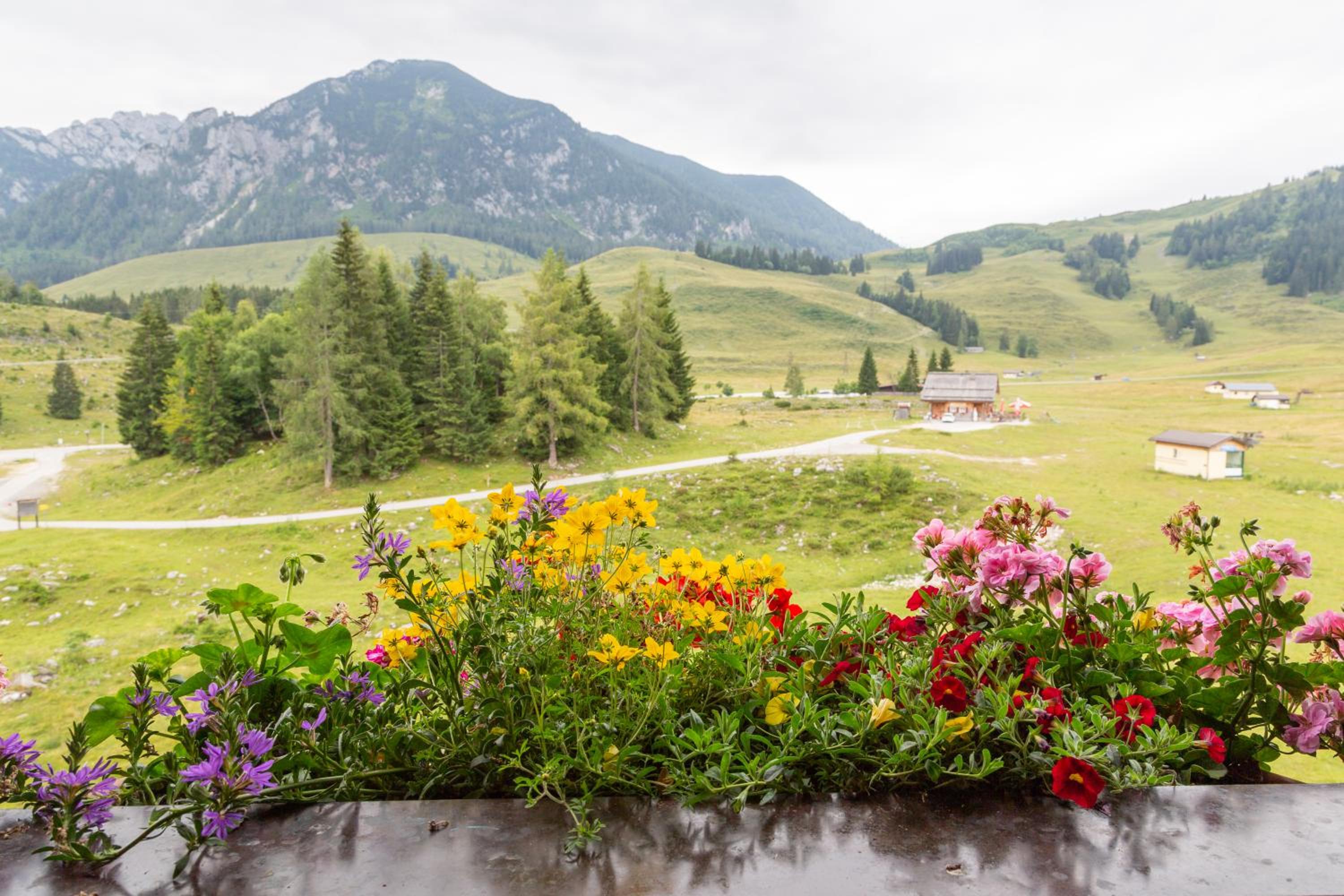 Almhaus Alpenrose Postalm