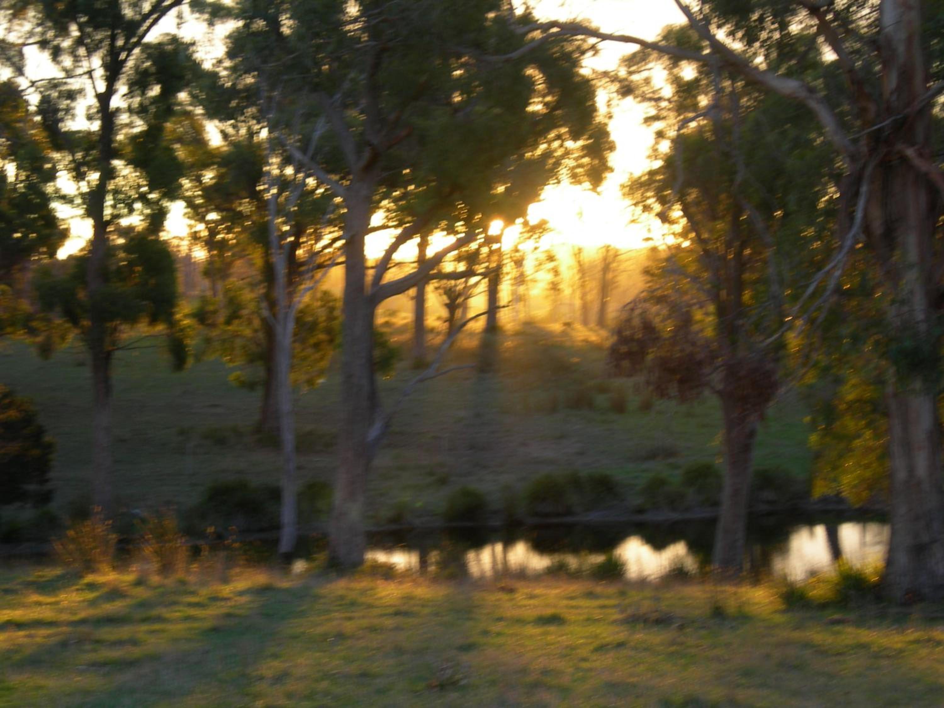 Platypus Park Country Retreat