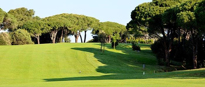 Villa ALFONSA view 3