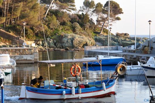 Hotel Villa ALFONSA - Image 1