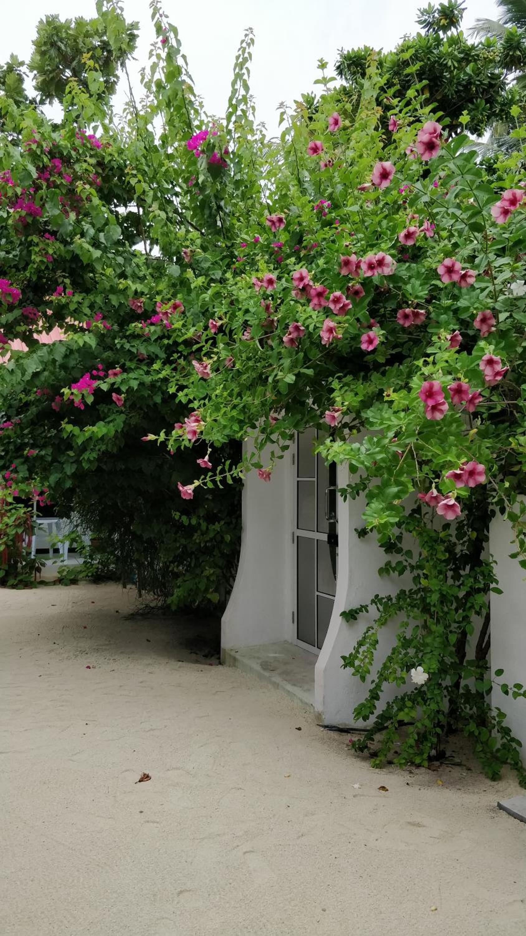 Athiriveli