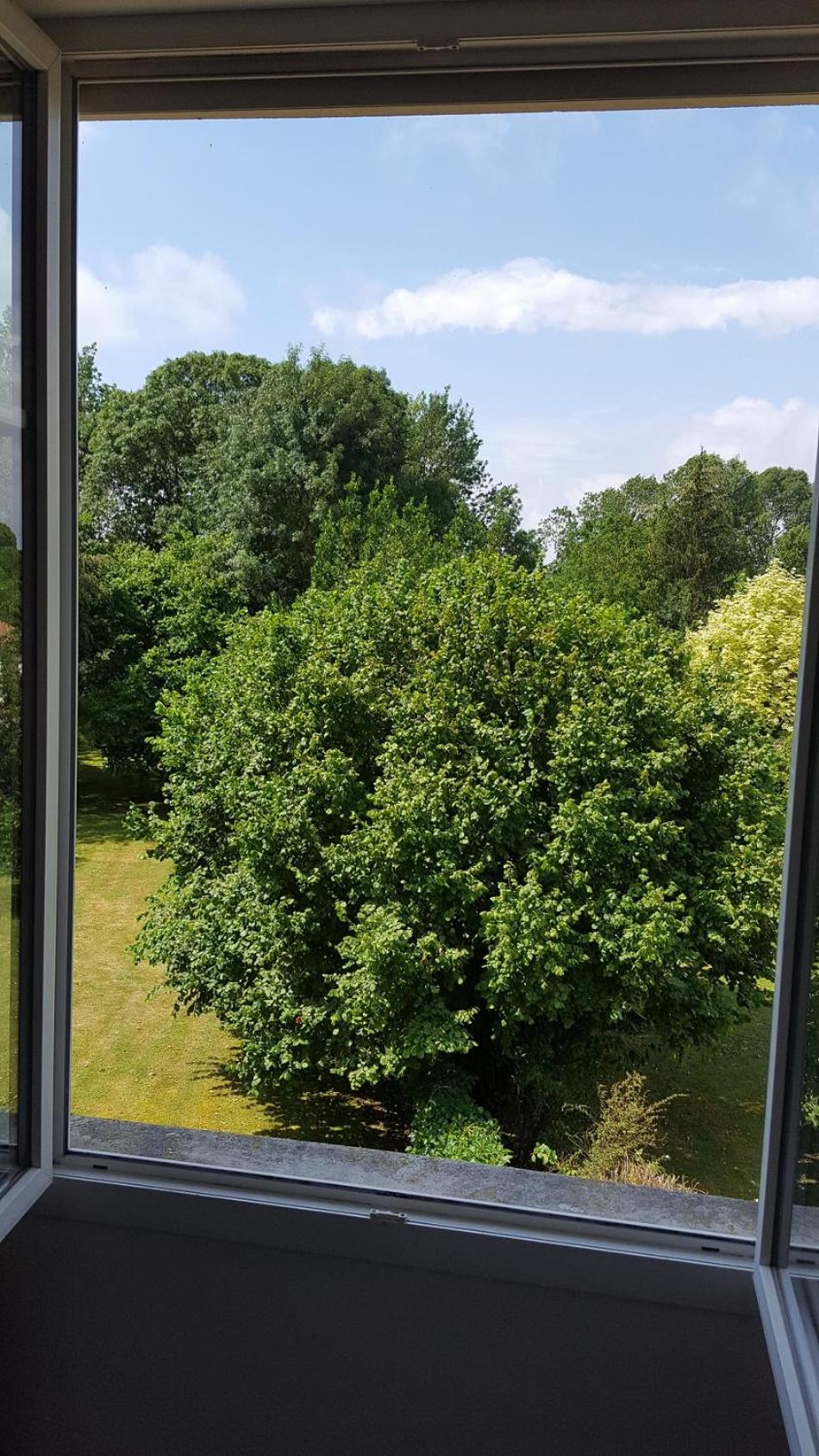 La Villa Camille view 2