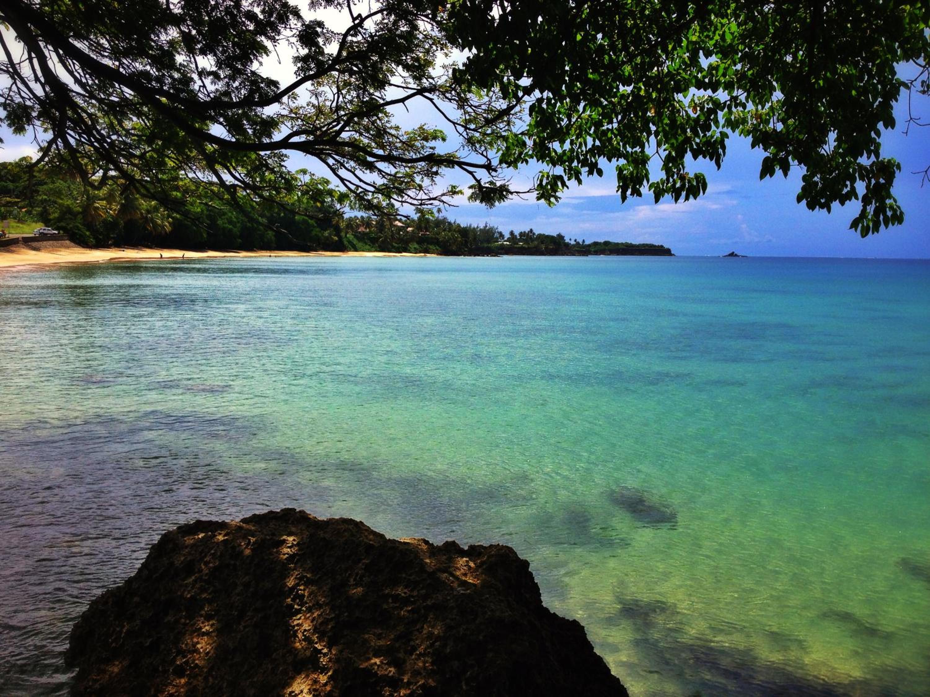 The Nest Tobago Apartments